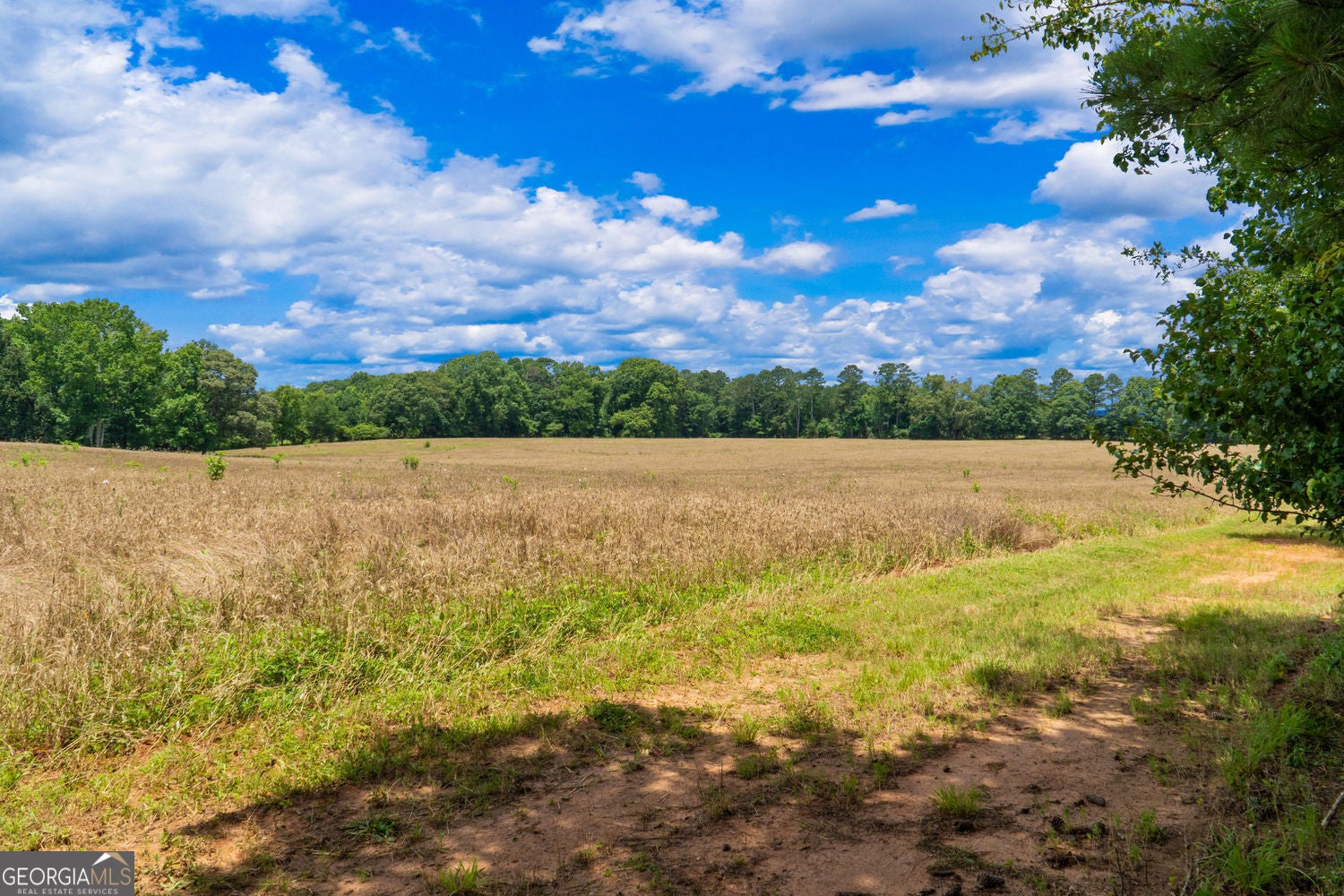 Social Circle, Georgia, 30025, United States, ,Residential,For Sale,1867942