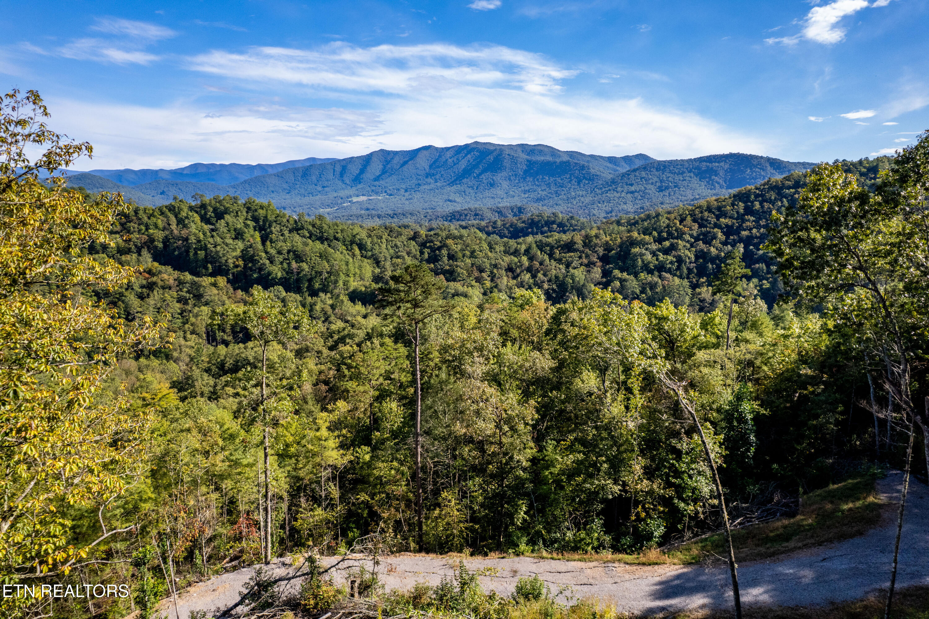 Townsend, Tennessee, 37882, United States, ,Land,For Sale,1982643