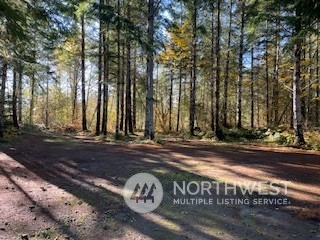 Packwood, Washington, 98937, United States, ,Residential,For Sale,1944866