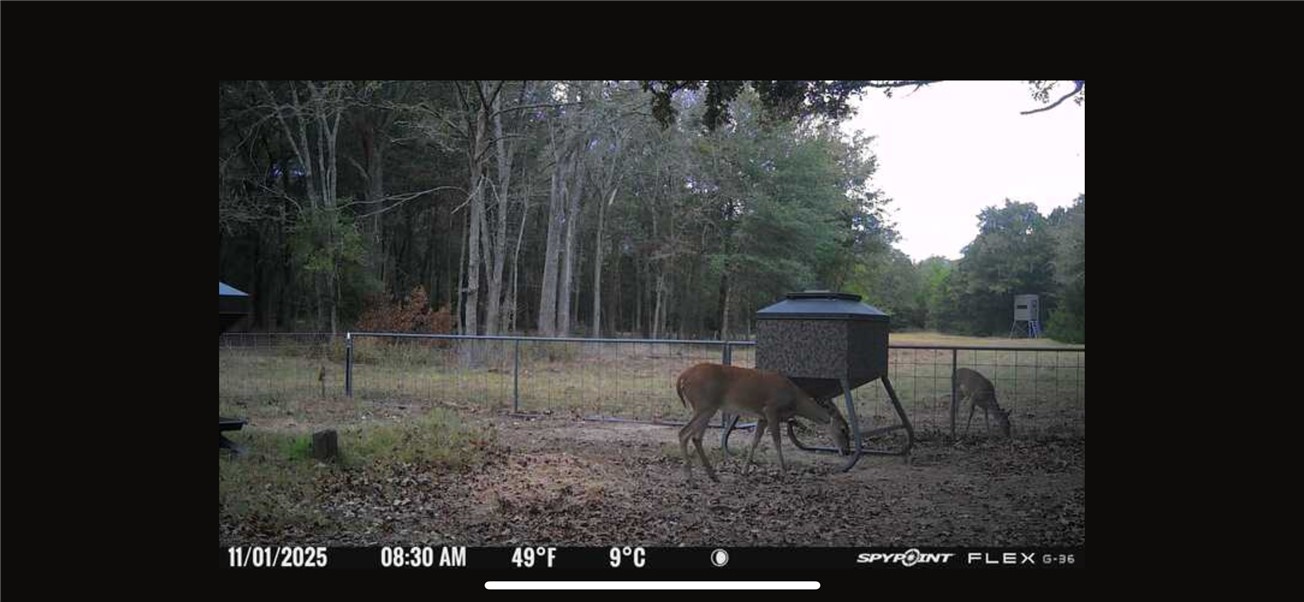 Thornton, Texas, 76687, United States, ,Land,For Sale,2003074