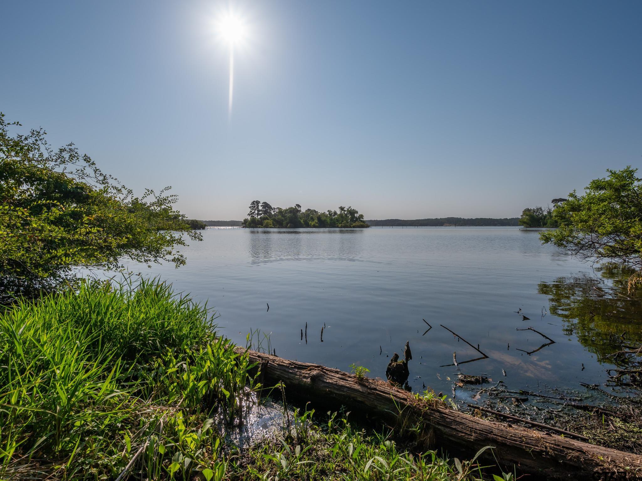 Chandler, Texas, 75758, United States, ,Land,For Sale,1826674