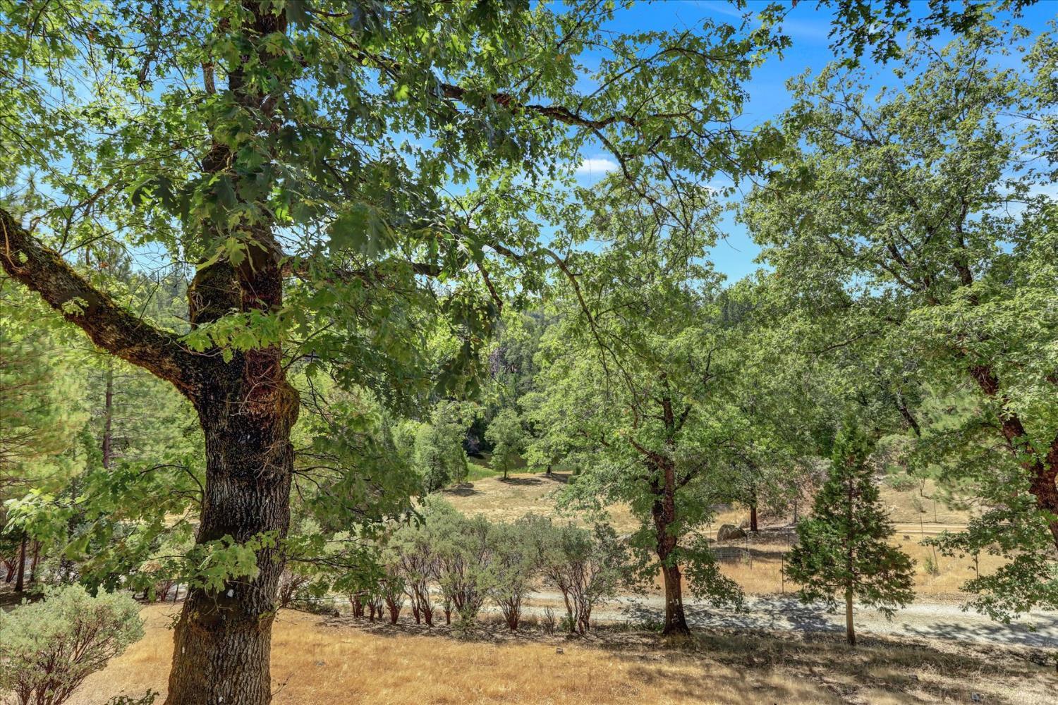 Nevada City, California, 95959, United States, 2 Bedrooms Bedrooms, ,2 BathroomsBathrooms,Residential,For Sale,1982530