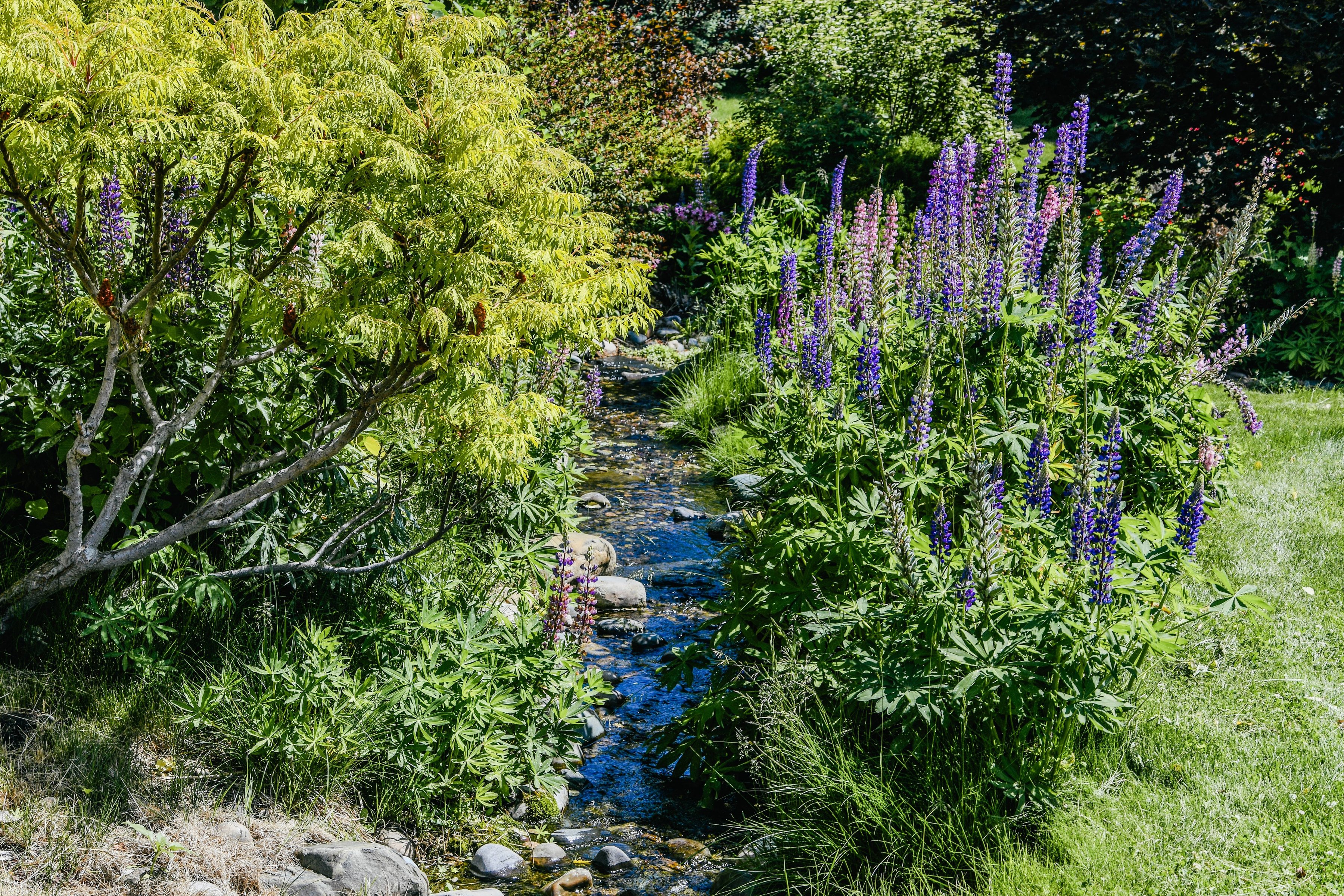  Mountain View Estate - Salmon, Idaho - 物件實景