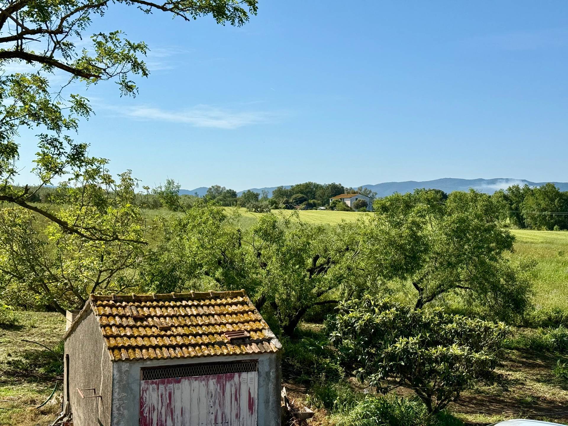 Magliano in Toscana, Grosseto, 58051, IT, 2 Bedrooms Bedrooms, ,1 BathroomBathrooms,Residential,For Sale,1793018
