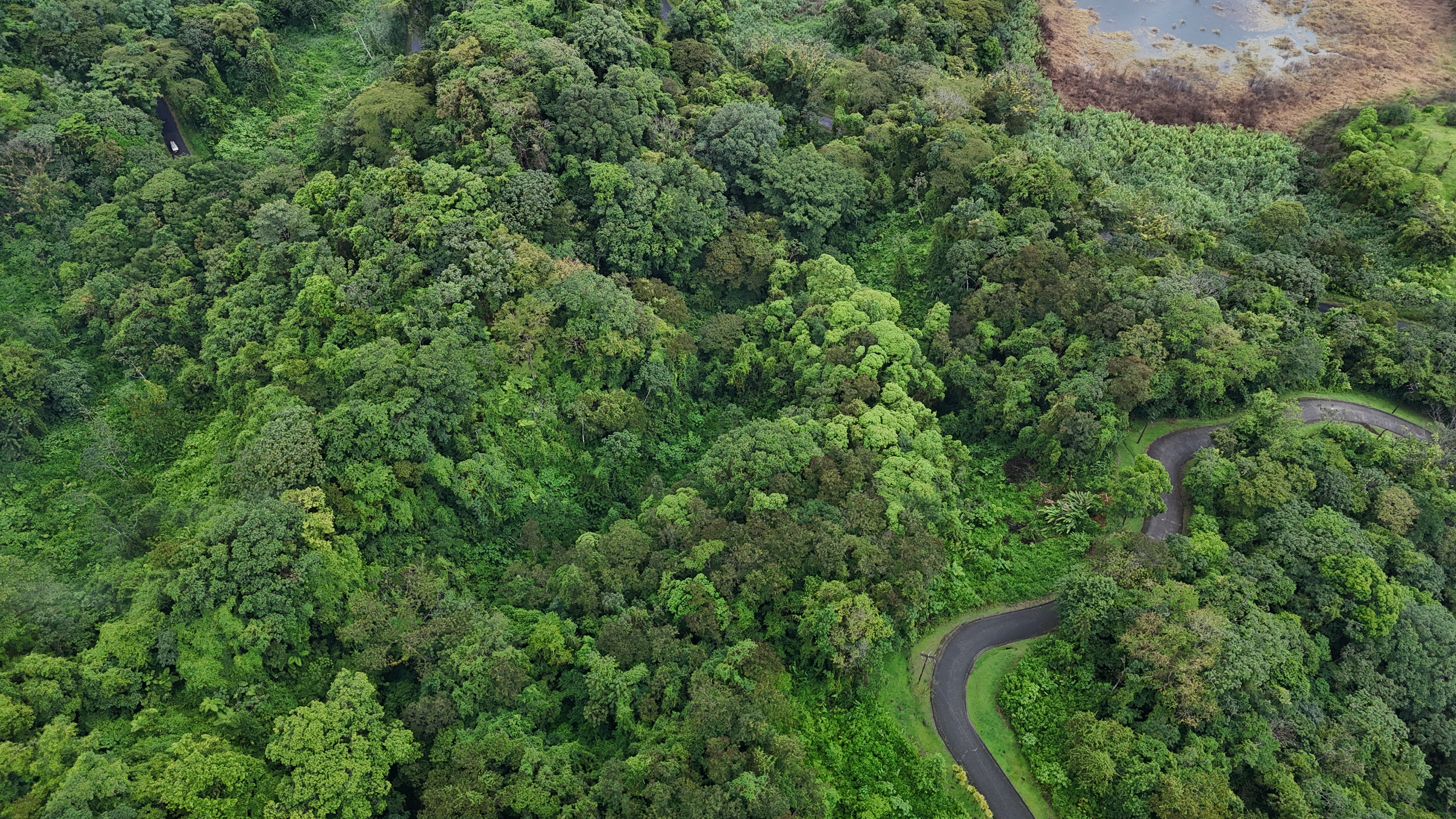 La Fortuna, Alajuela, CR, ,Land,For Sale,1828569