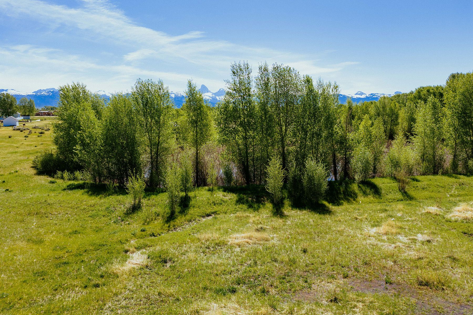  Commercial-Zoned Land - 物件實景