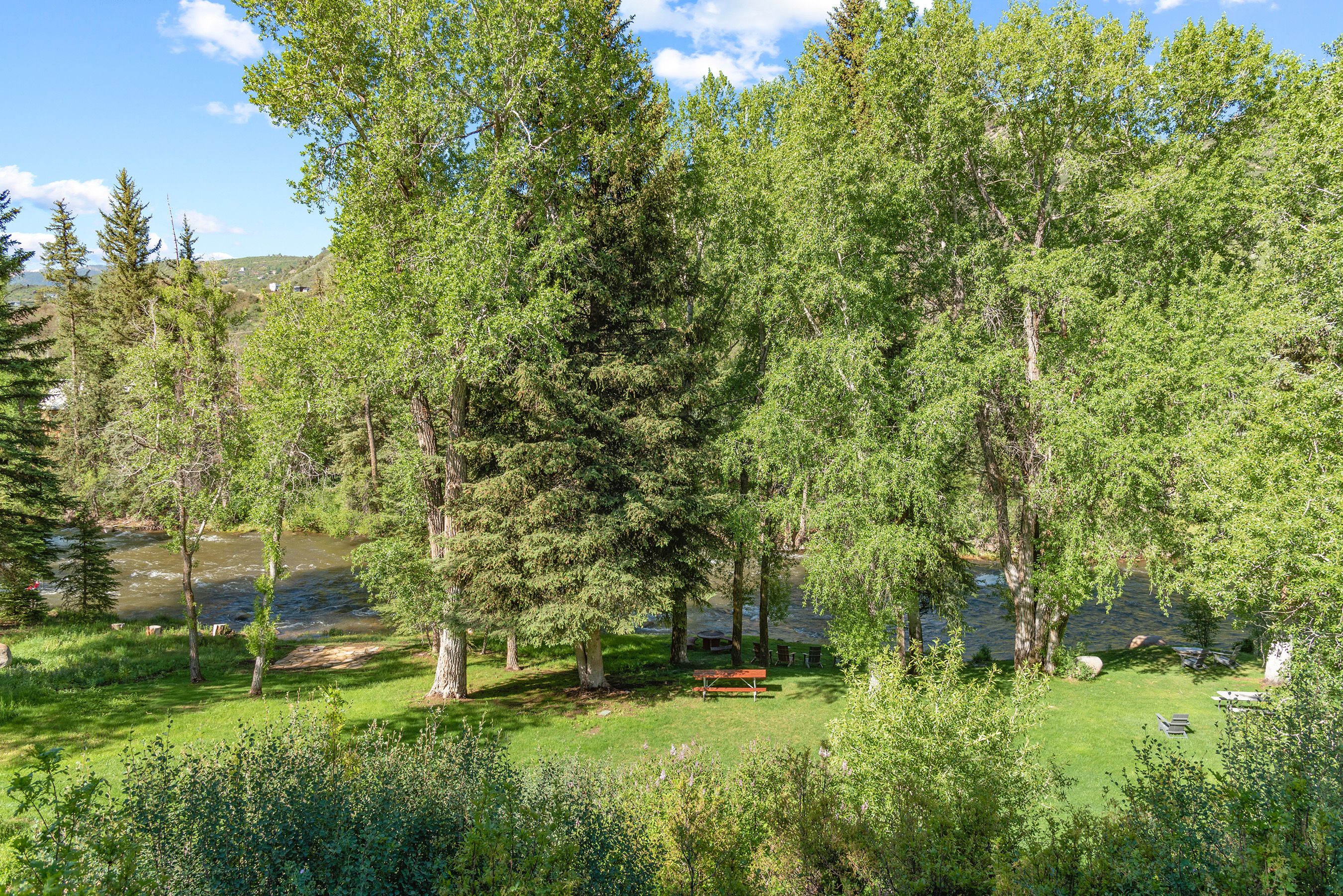  Sanctuary on The Roaring Fork River - 物件實景