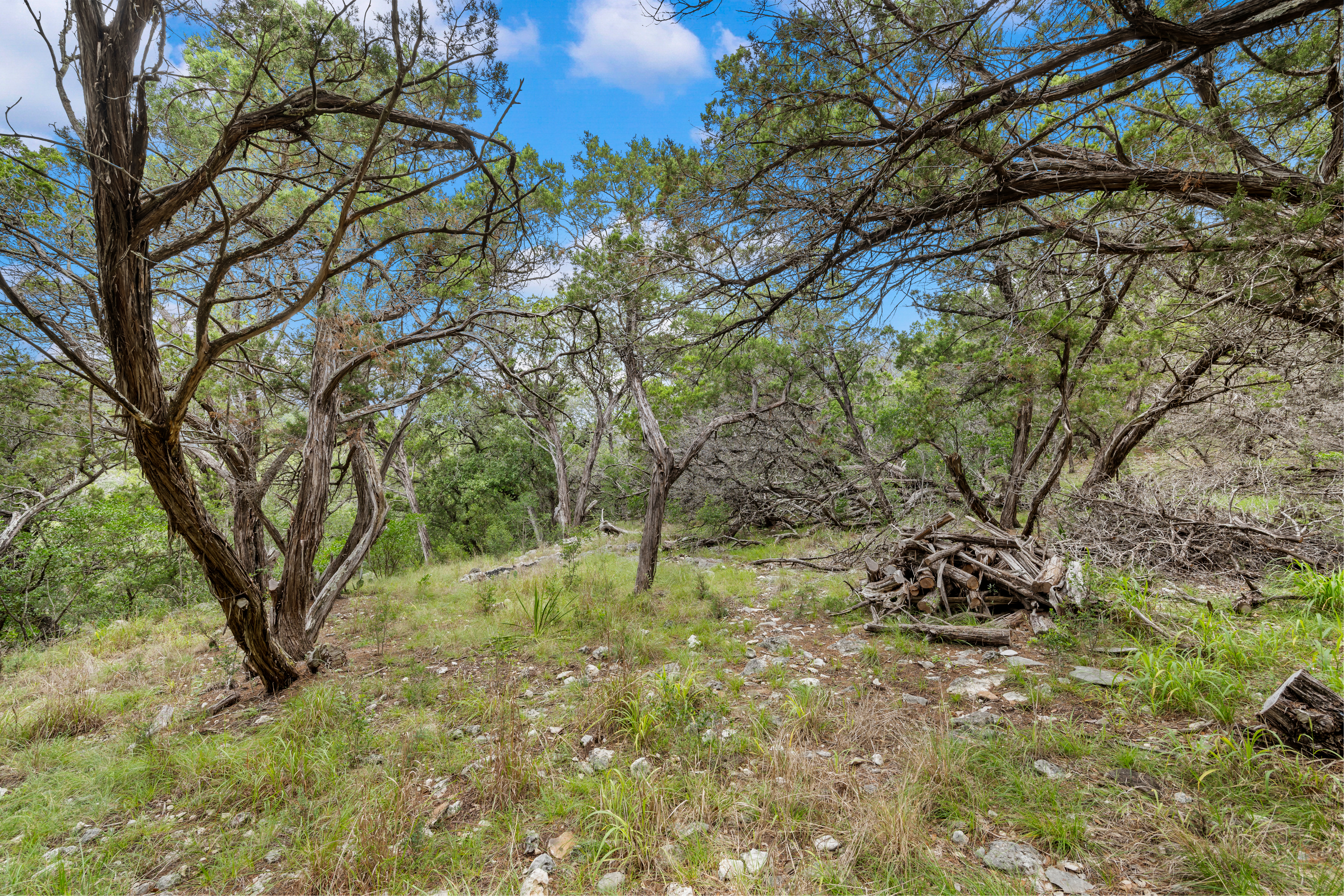  Medina Ranch  41.51 Acres - 物件實景