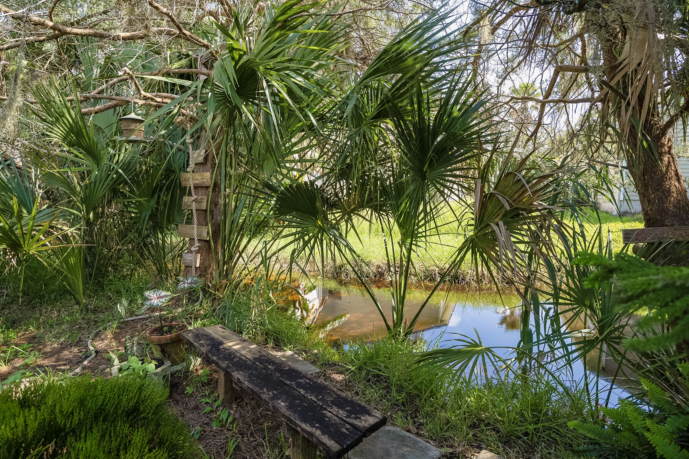  119 Palmer, St Augustine, FL, 32084 - 物件實景