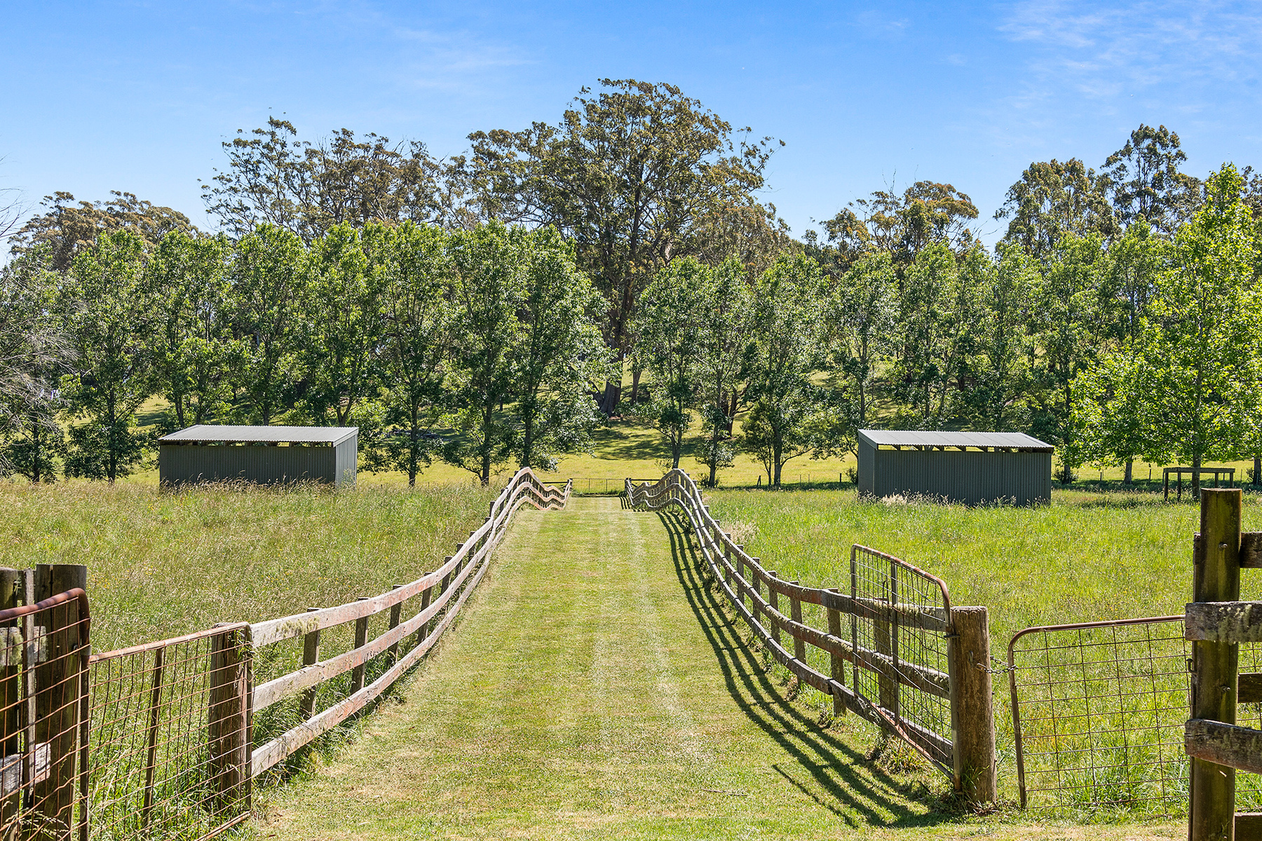  Fox Hill - 物件實景