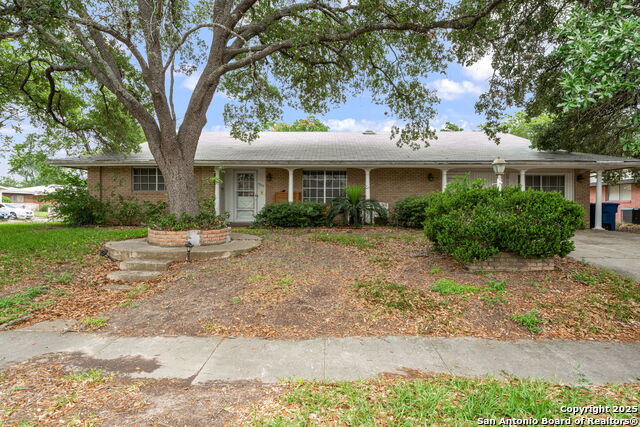 Lavender Ln, San Antonio, TX 78220