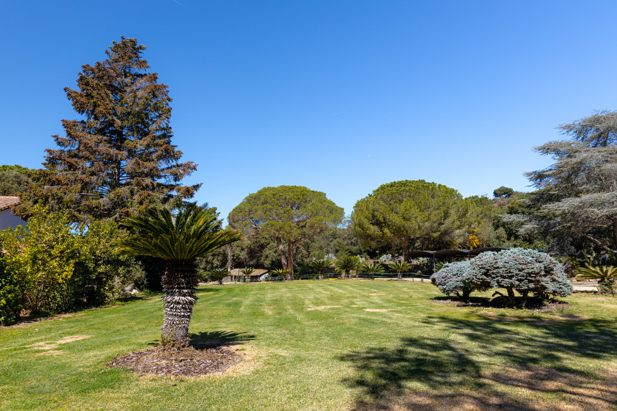  Unique and exceptional farmhouse in Supermaresme - Costa BCN - 物件實景