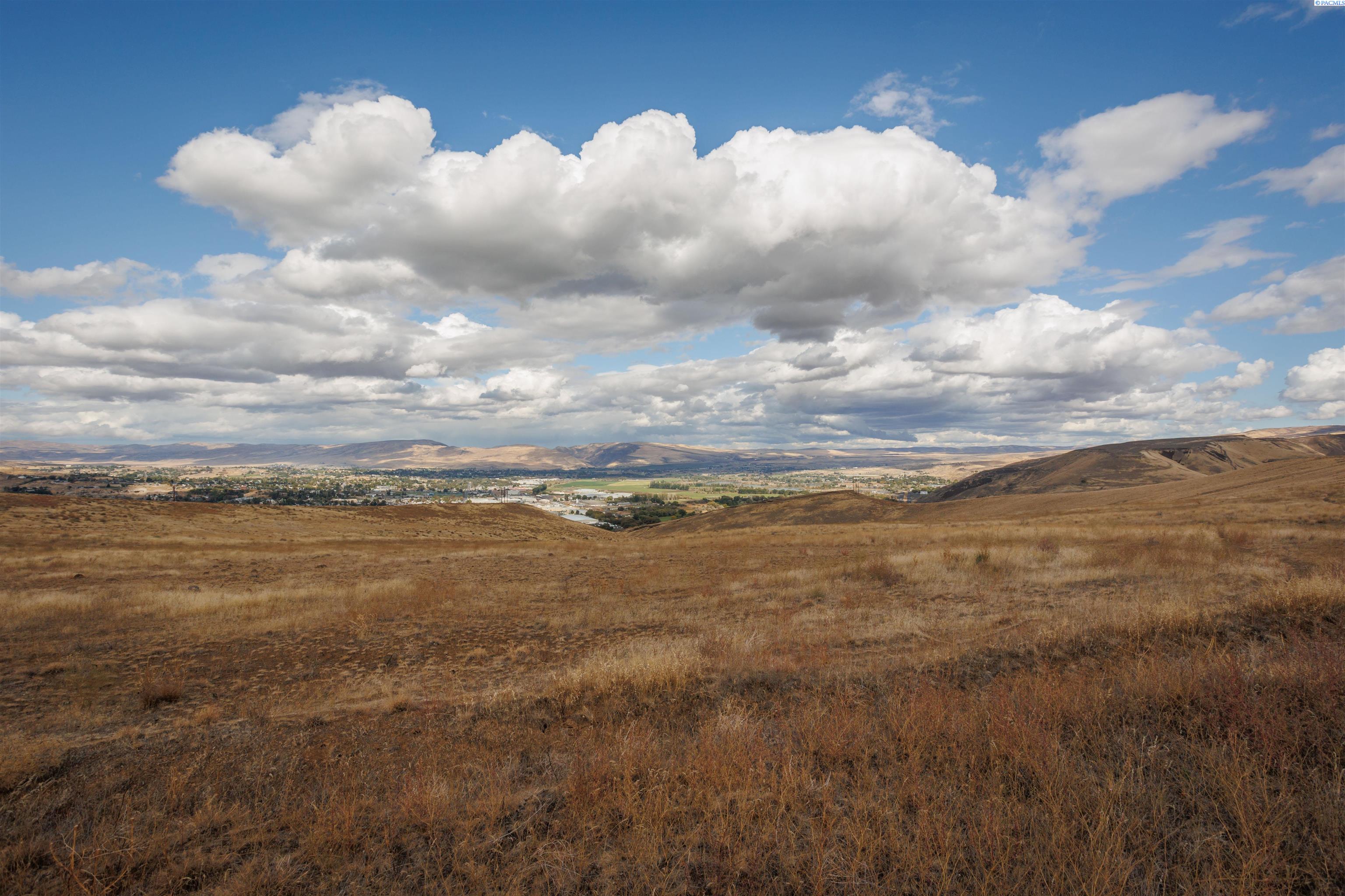 Selah, Washington, 98942, United States, ,Land,For Sale,1977738