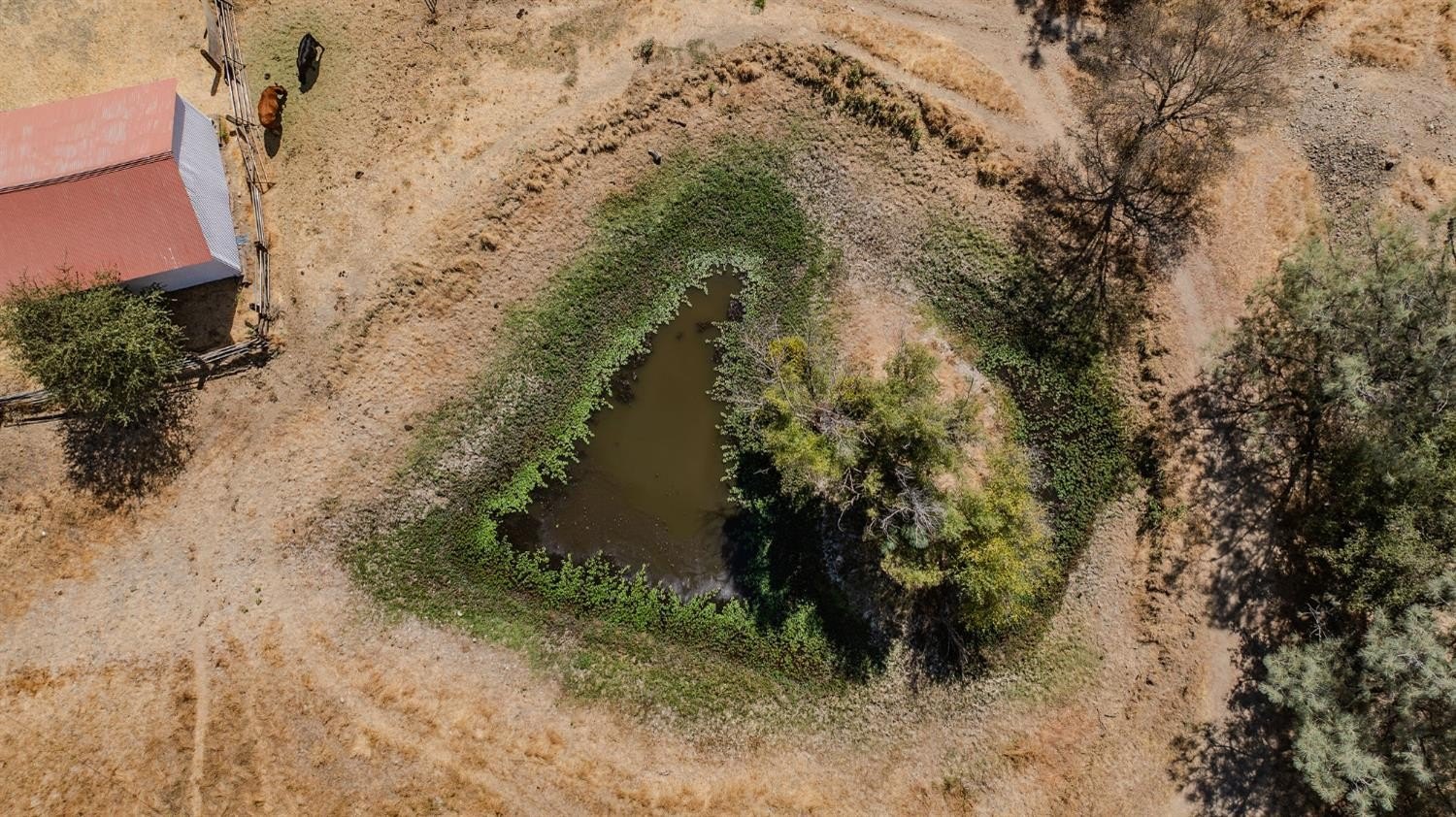 Valley Springs, California, 95252, United States, 3 Bedrooms Bedrooms, ,2 BathroomsBathrooms,Residential,For Sale,1979453