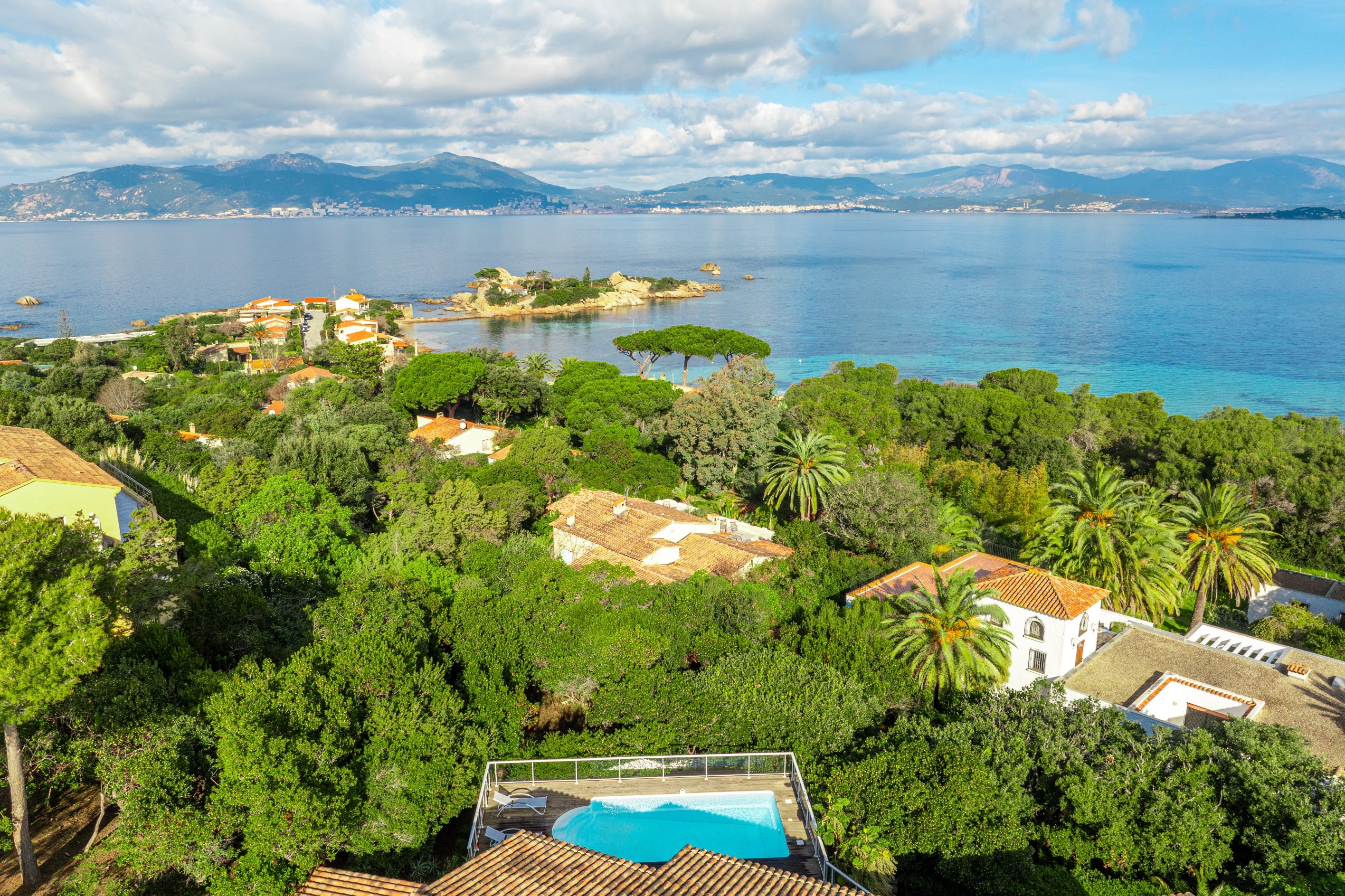  For sale : Luxury villa with pool, sea view and beaches on foot - Isolella - Aj… - 物件實景