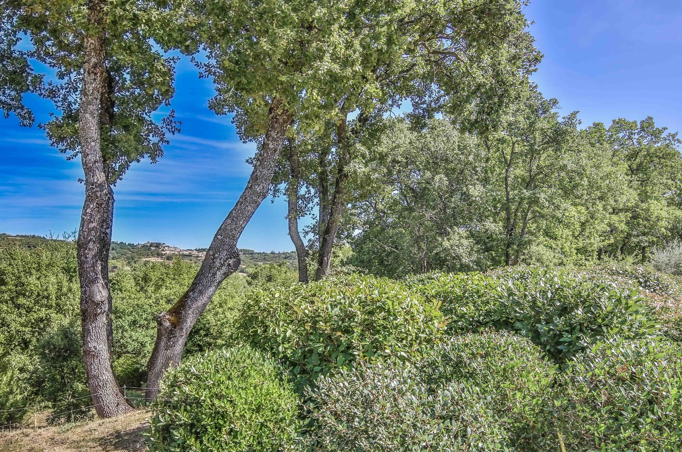  a home immersed in nature, where  provence becomes a way of life - 物件實景