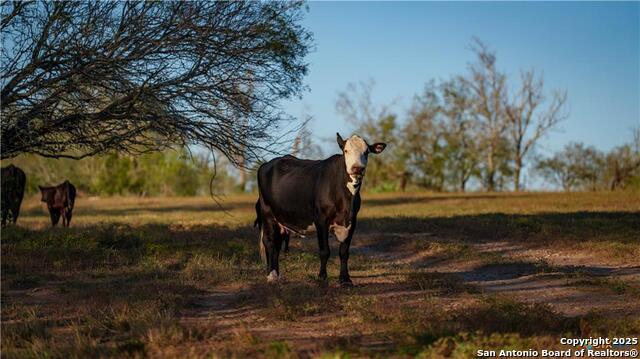 Kingsbury, Texas, 78638, United States, ,3 BathroomsBathrooms,Residential,For Sale,2005147