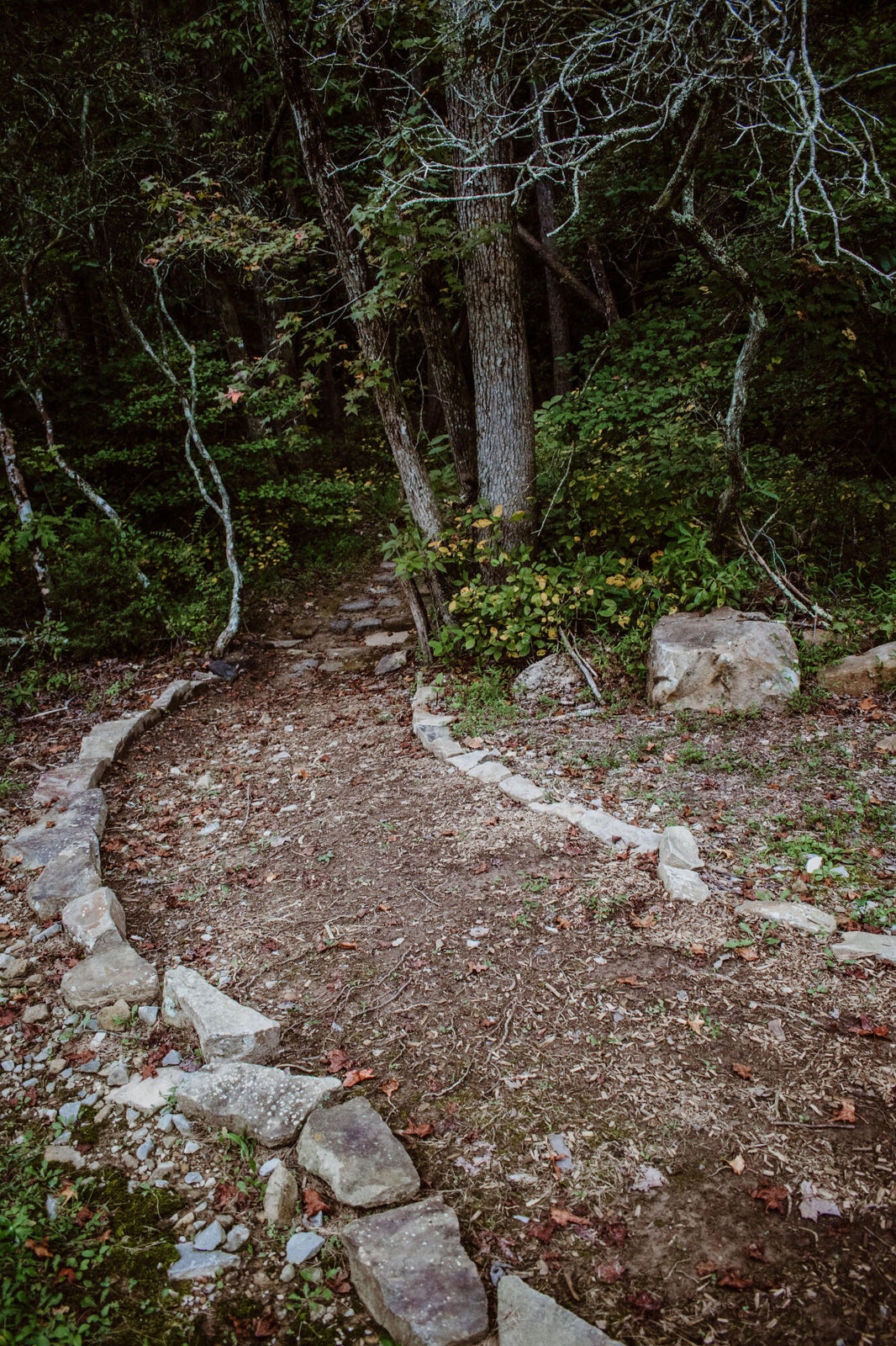 Dunlap, Tennessee, 37327, United States, 4 Bedrooms Bedrooms, ,3 BathroomsBathrooms,Residential,For Sale,1974830