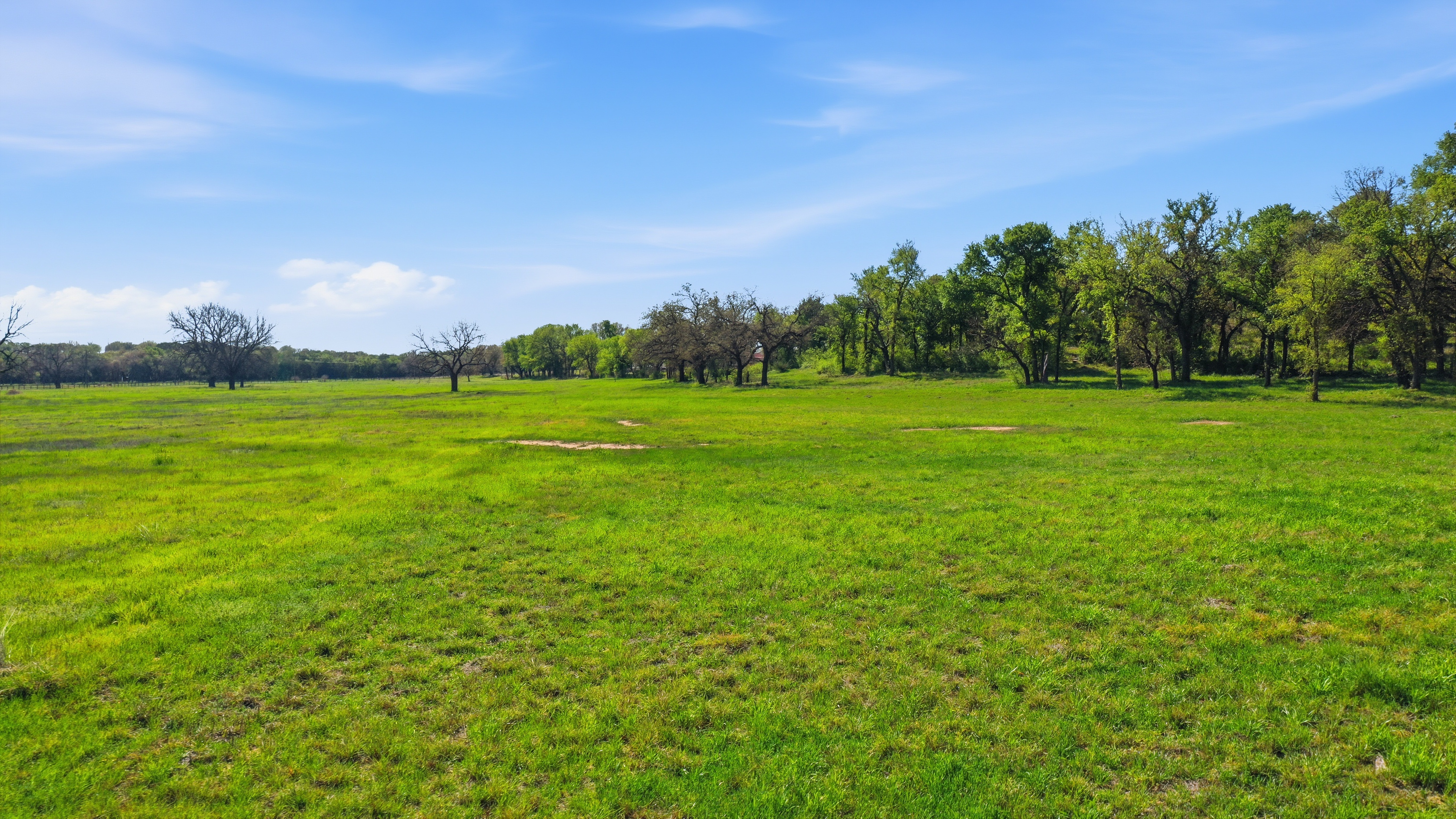  Space for Barns, Workshops, and Big Texas Dreams - 物件實景