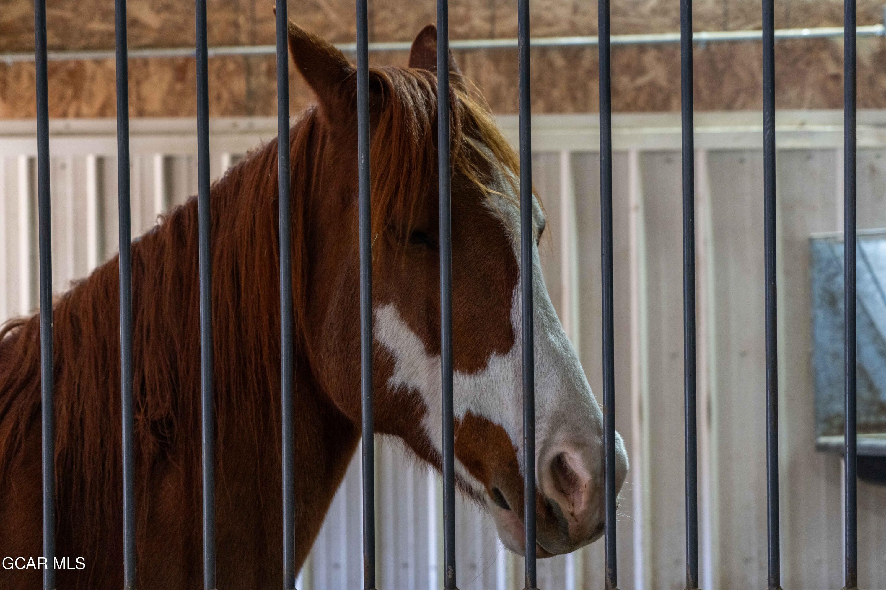 Hot Sulphur Springs, Colorado, 80451, United States, 6 Bedrooms Bedrooms, ,6 BathroomsBathrooms,Residential,For Sale,1999593