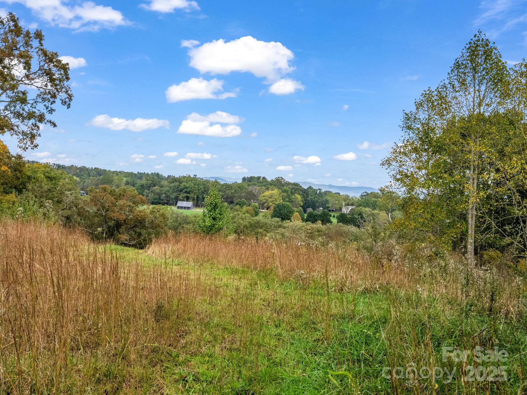 Mills River, North Carolina, 28759, United States, ,Land,For Sale,1975215