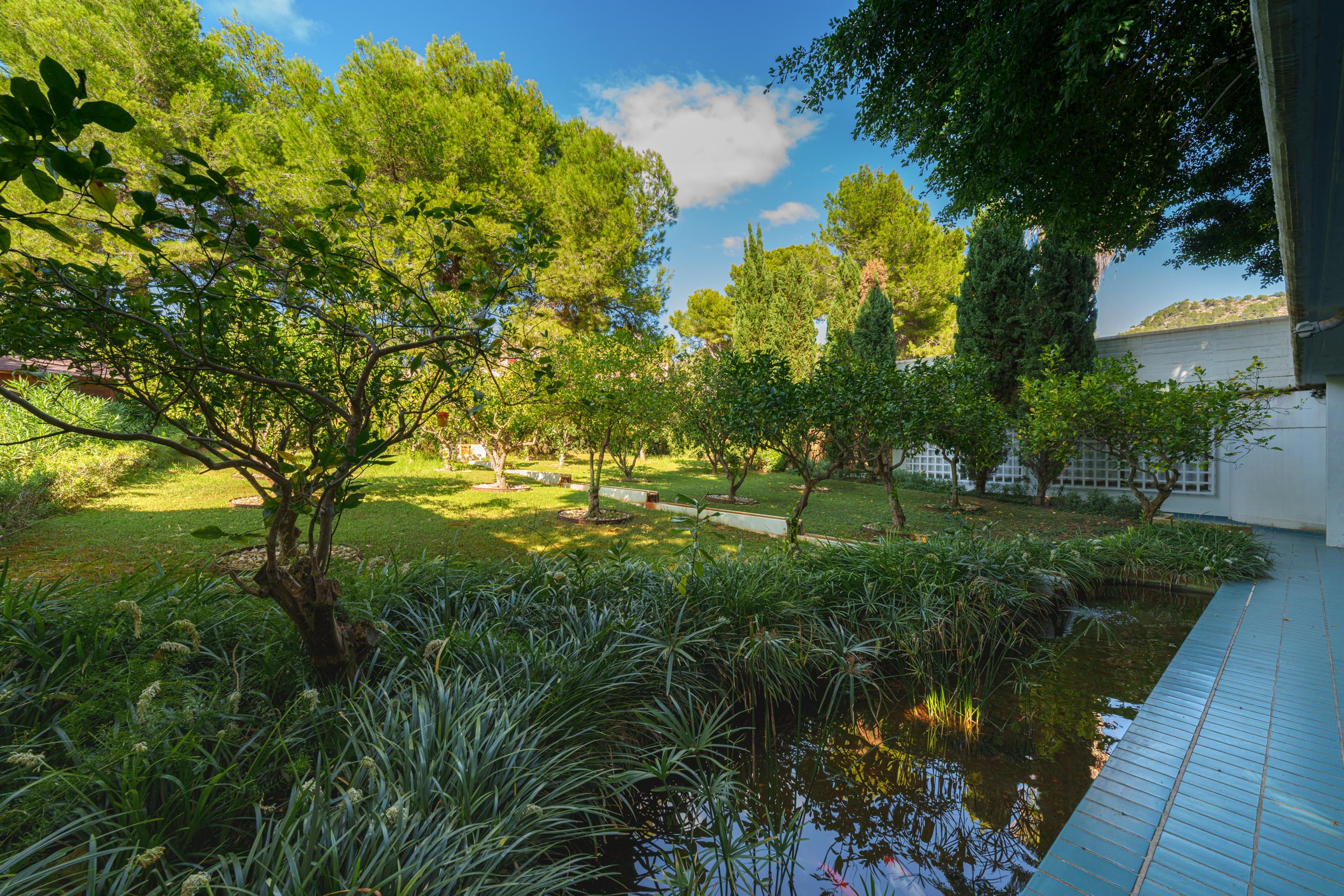  El Manantial - 物件實景