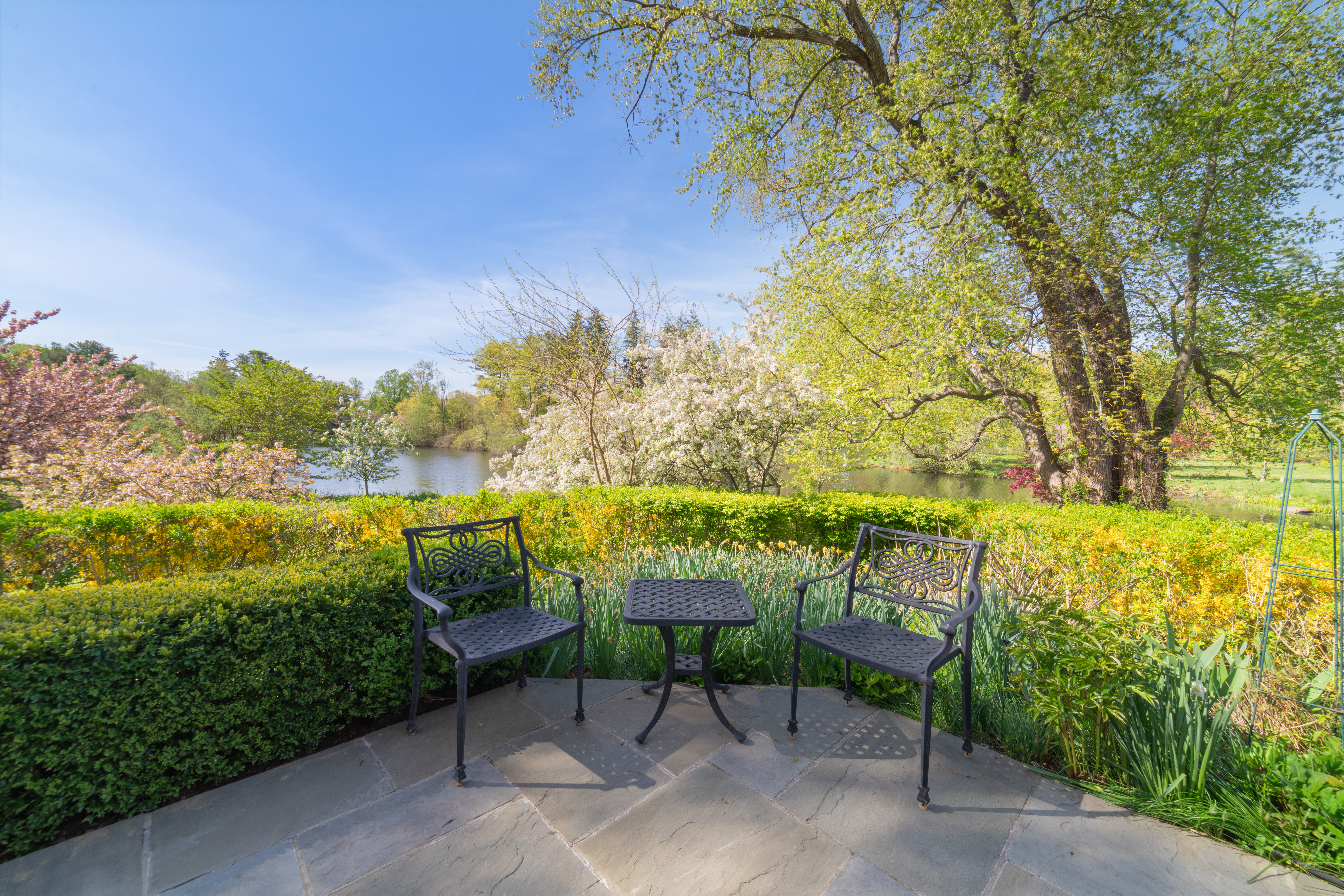  36 Richmond Hill Road - 物件實景