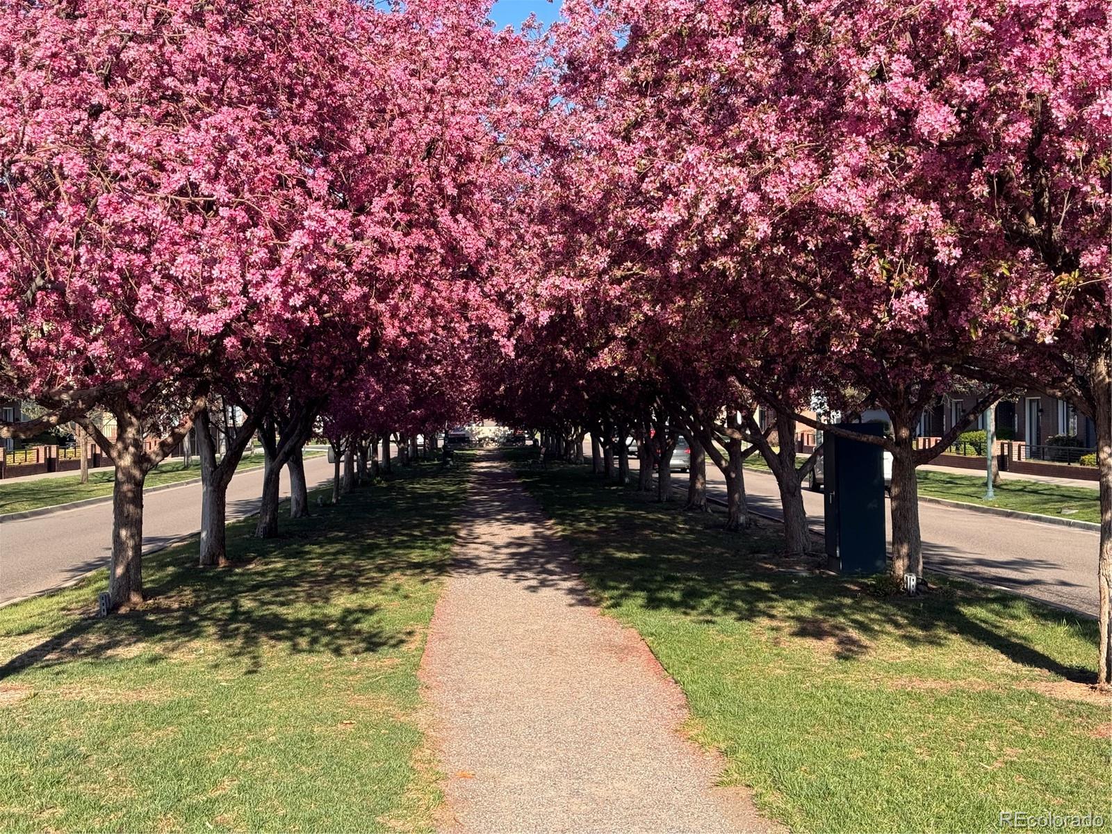 Westminster, Colorado, 80031, United States, 3 Bedrooms Bedrooms, ,4 BathroomsBathrooms,Residential,For Sale,1989650