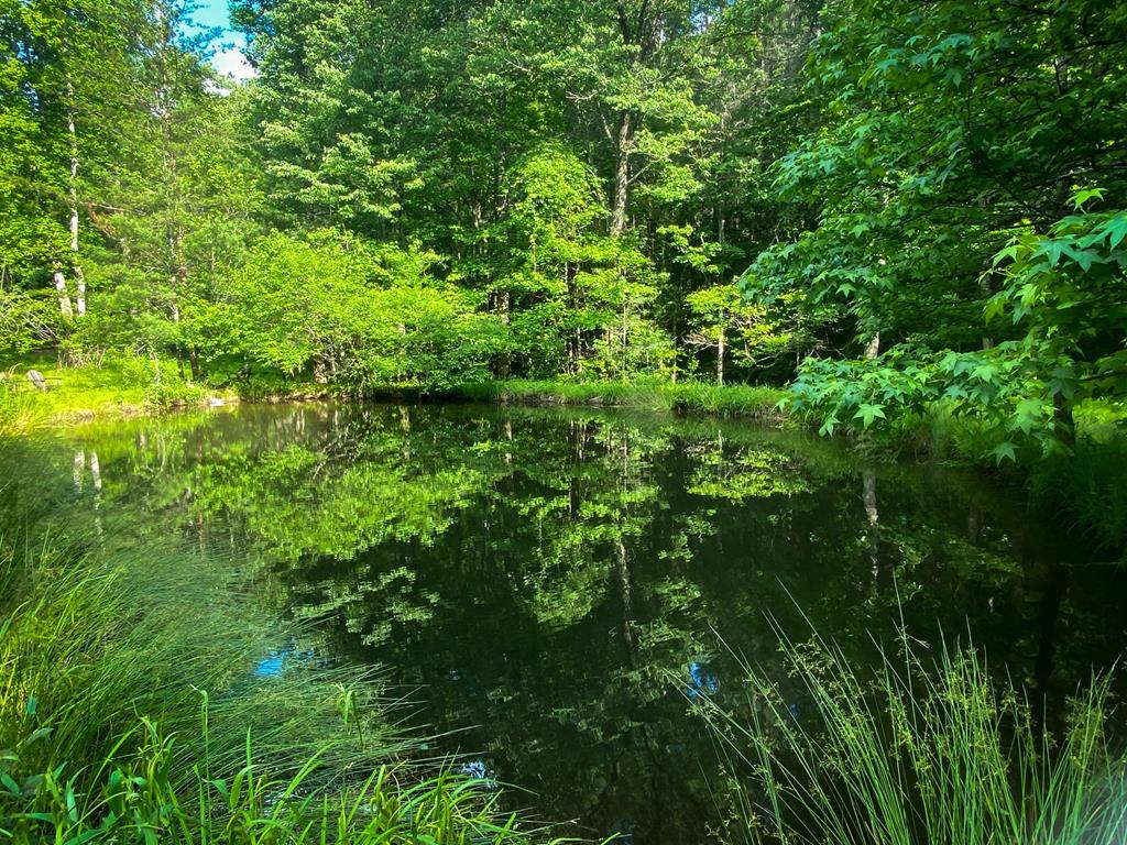 2151 Old Northcutt Road, Ellijay, Georgia, 30536, United States, 4 Bedrooms Bedrooms, ,2 BathroomsBathrooms,Residential,For Sale,2151 Old Northcutt Road,1538841
