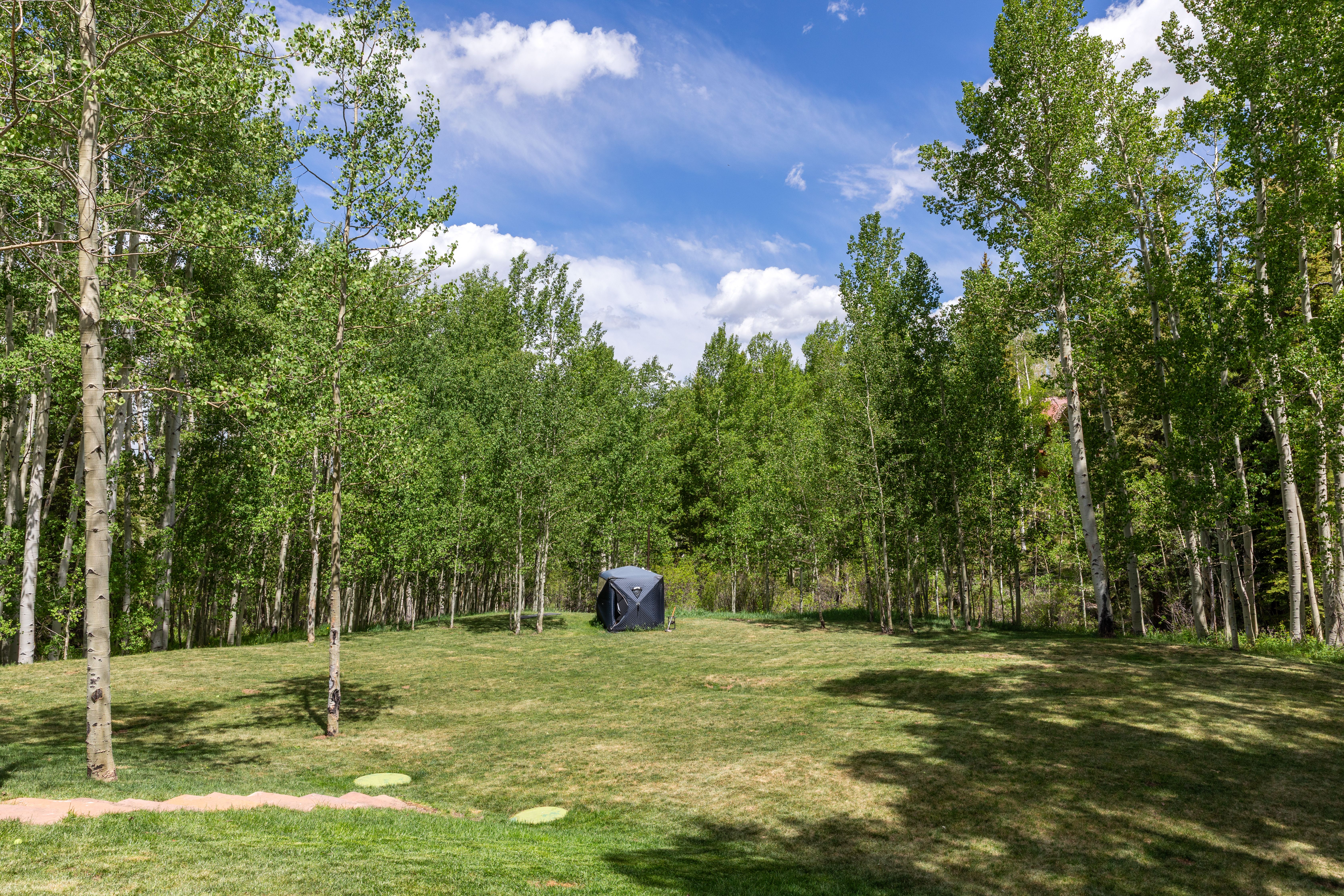  Secluded 4 Bed / 4 Bath Telluride Property - 物件實景