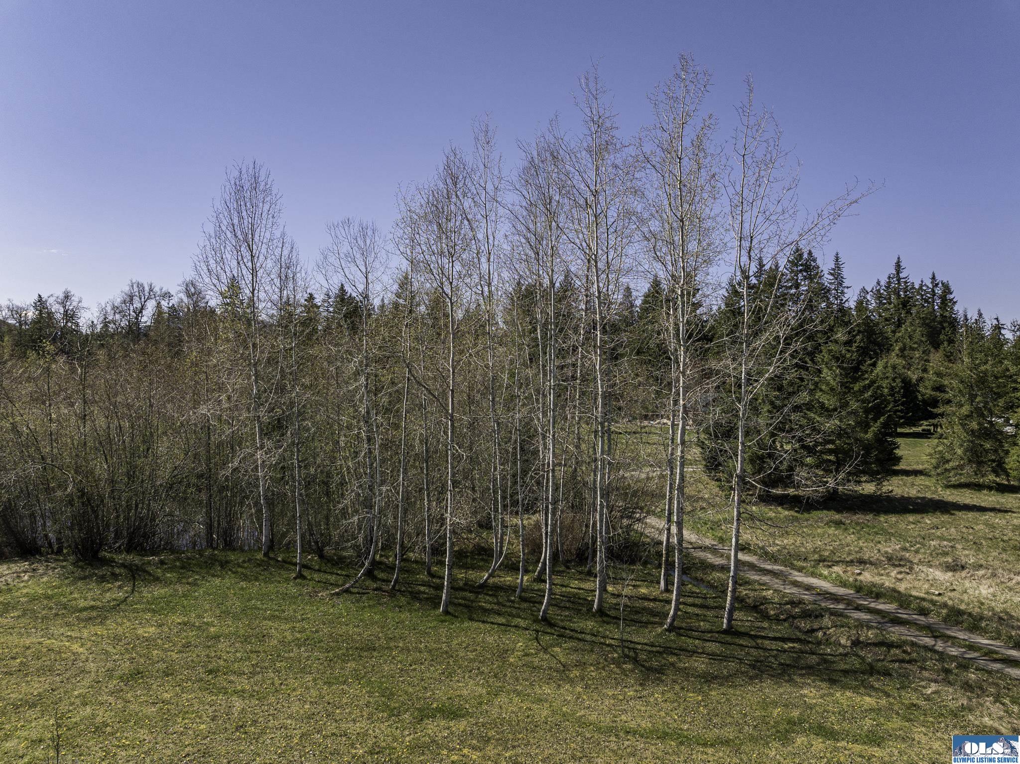 Sequim, Washington, 98382, United States, ,Land,For Sale,1787569