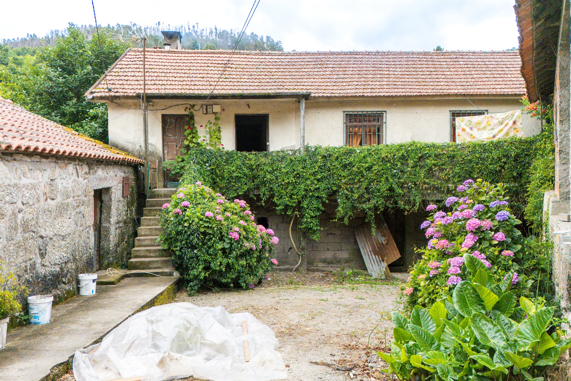  Farm, 3 bedrooms, for Sale - 物件實景