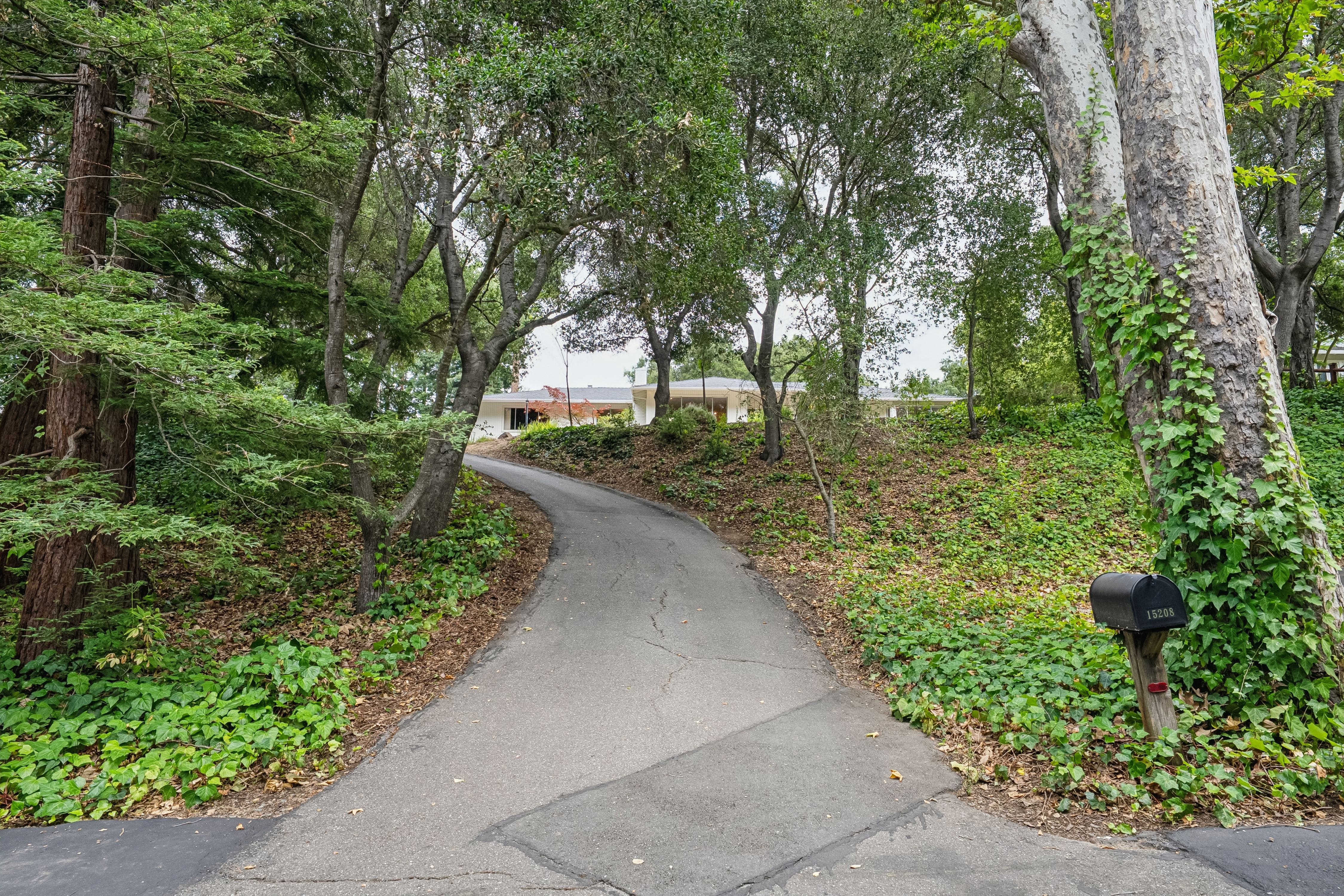  Great Monte Sereno Single Story - 物件實景