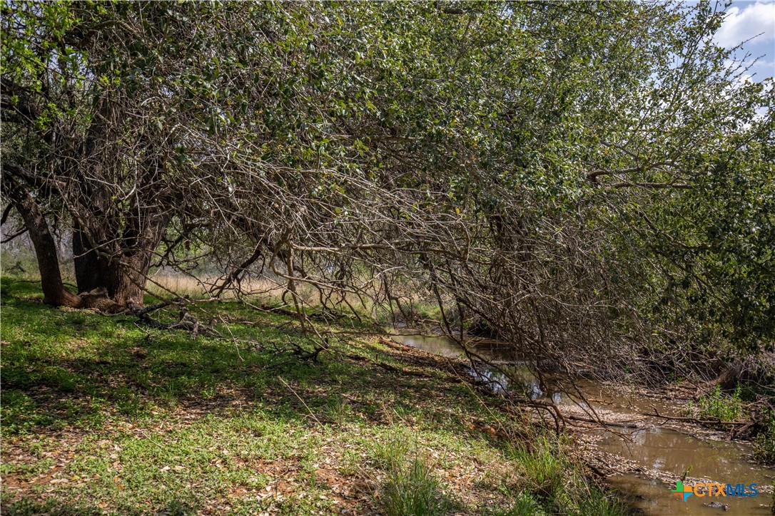 Jourdanton, Texas, 78026, United States, ,Residential,For Sale,1951381