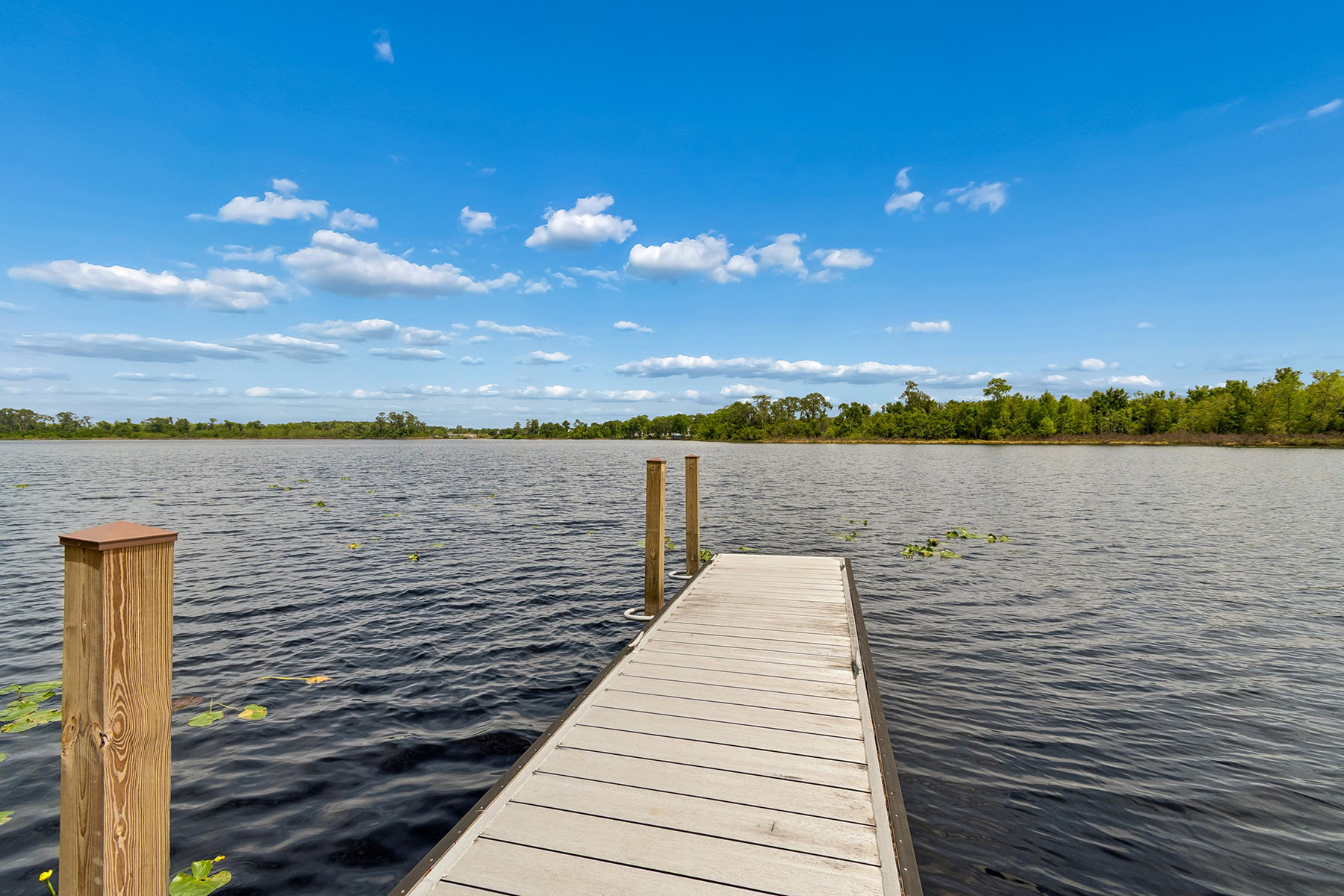  ORLANDO - 物件實景