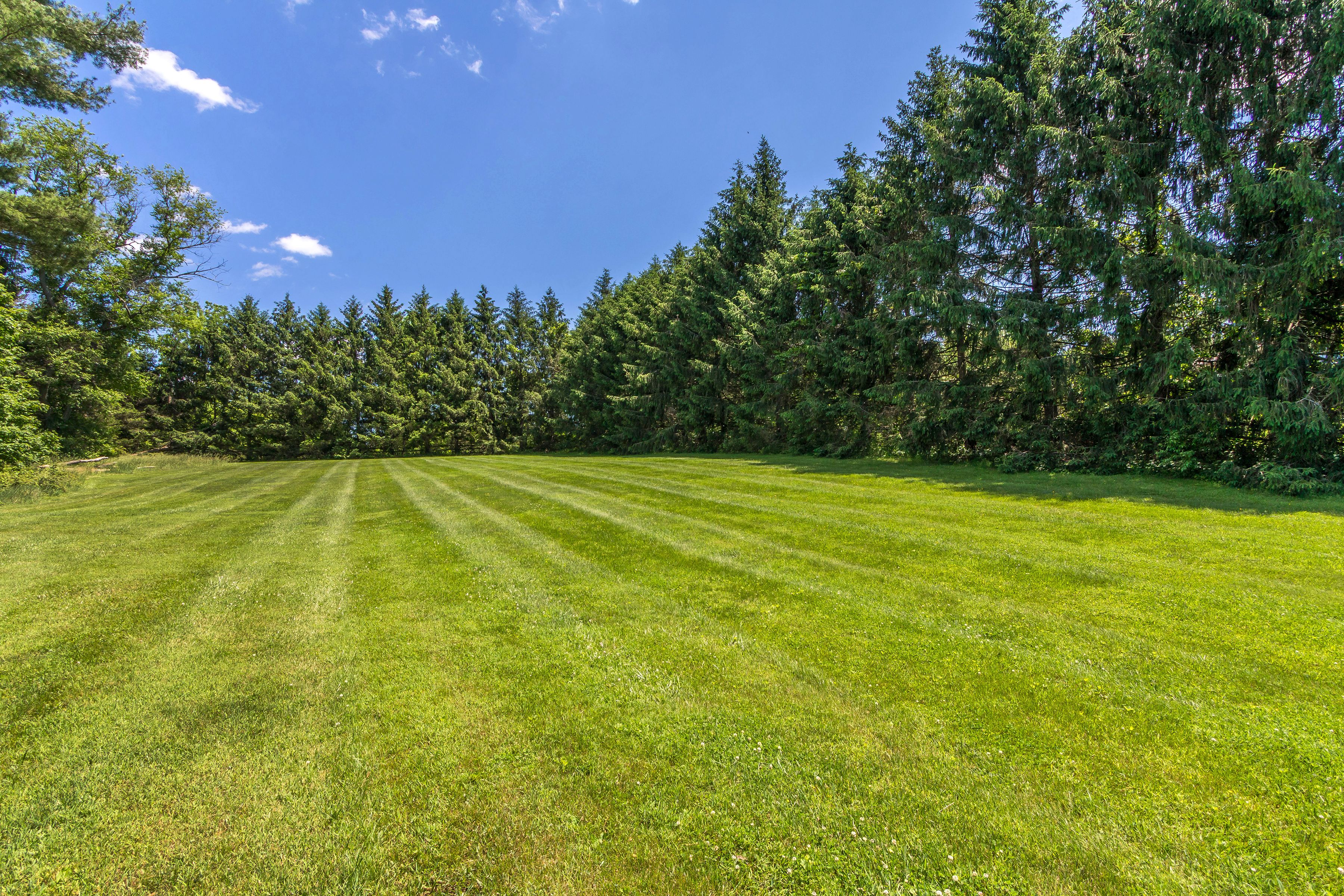  2349 Valley Road, Jamison, PA 18929 - 物件實景