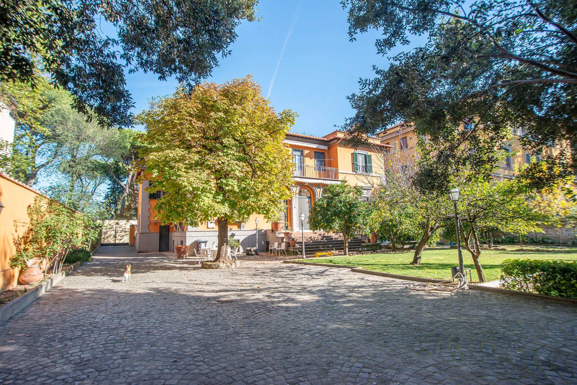 Via di Villa Pepoli, Roma, Roma, 00100, IT, 7 Bedrooms Bedrooms, ,5 BathroomsBathrooms,Residential,For Sale,Via di Villa Pepoli,1665684