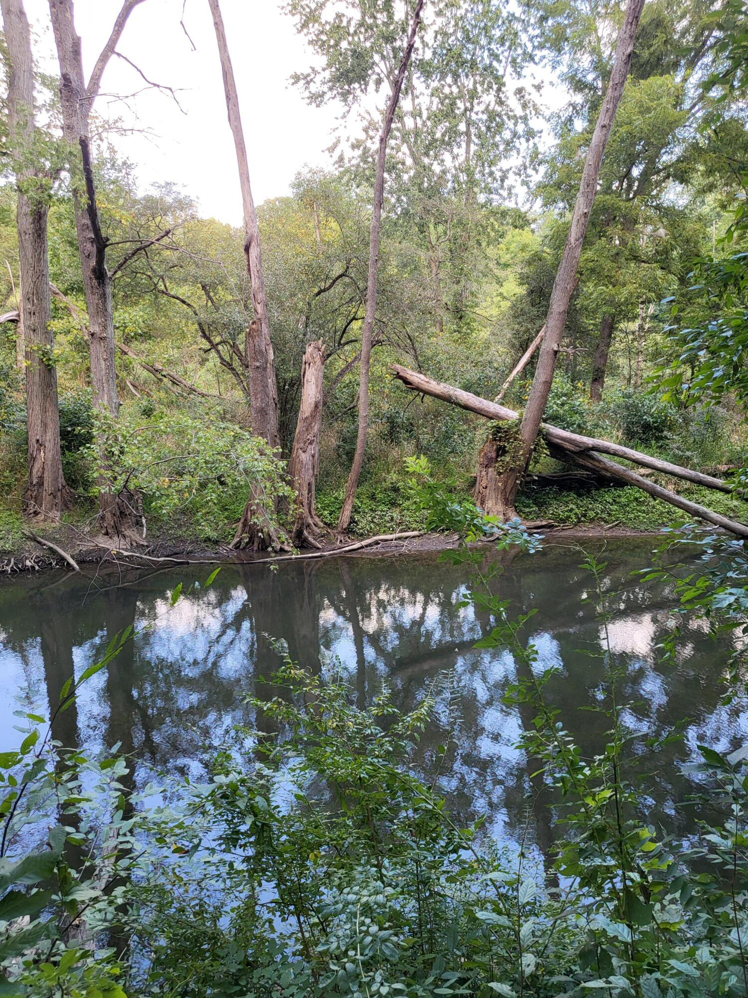 Union Pier, Michigan, 49129, United States, ,Land,For Sale,1988293