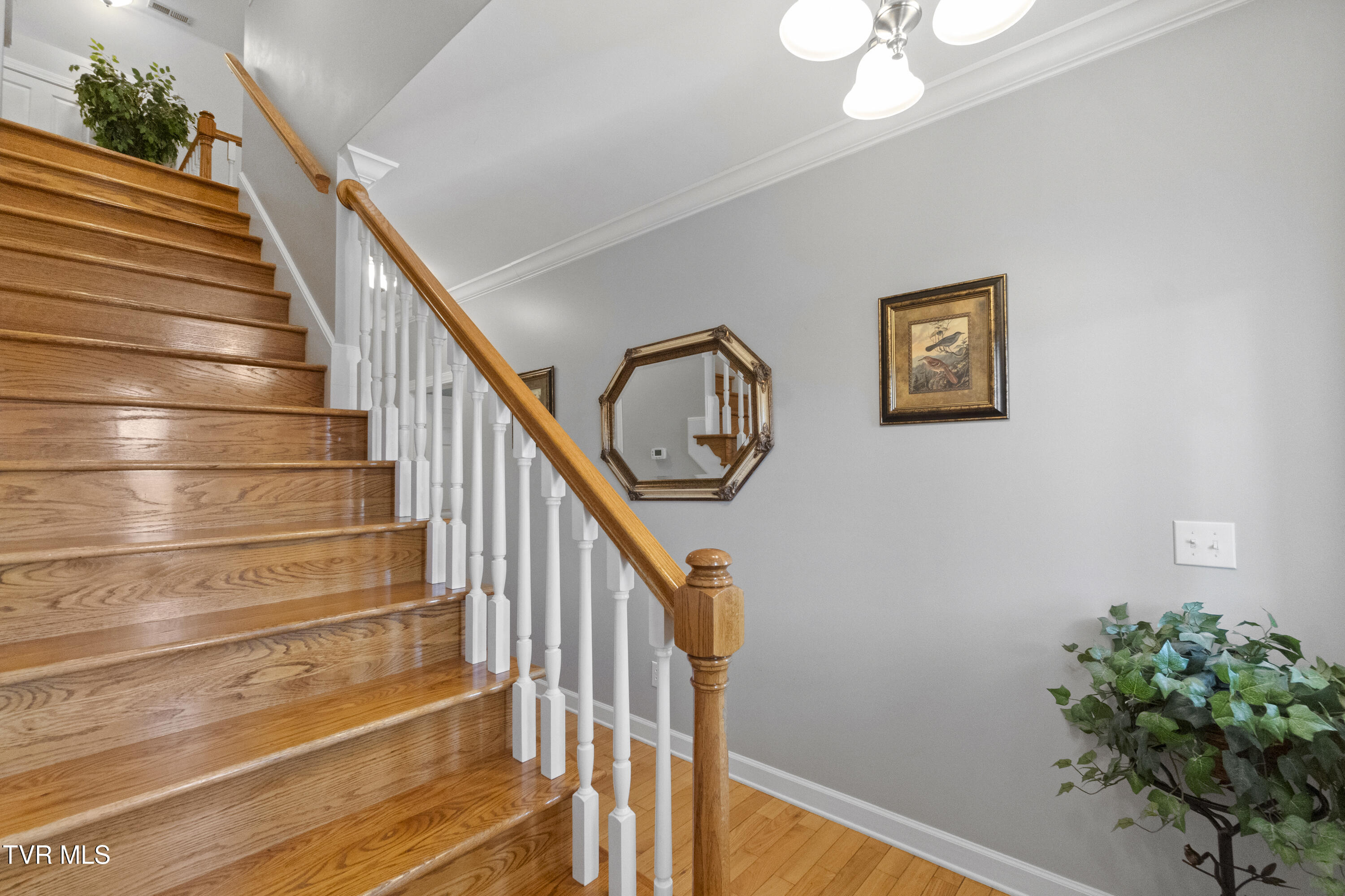 Greeneville, Tennessee, 37745, United States, 5 Bedrooms Bedrooms, ,5 BathroomsBathrooms,Residential,For Sale,2012581