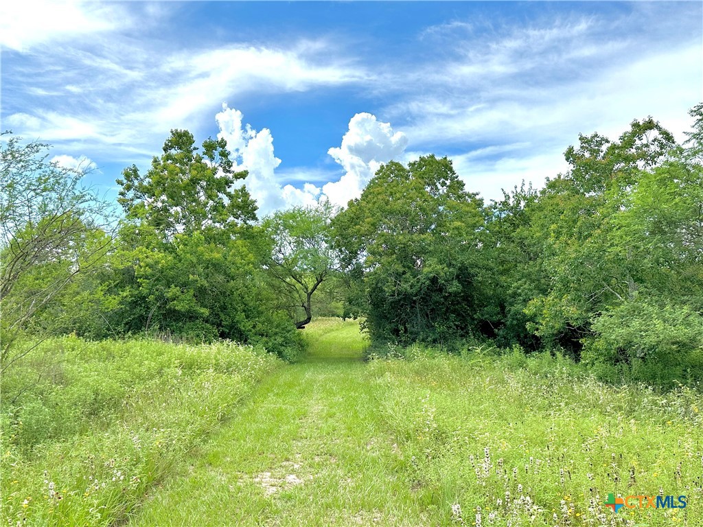 Nursery, Texas, 77976, United States, ,Land,For Sale,1885536