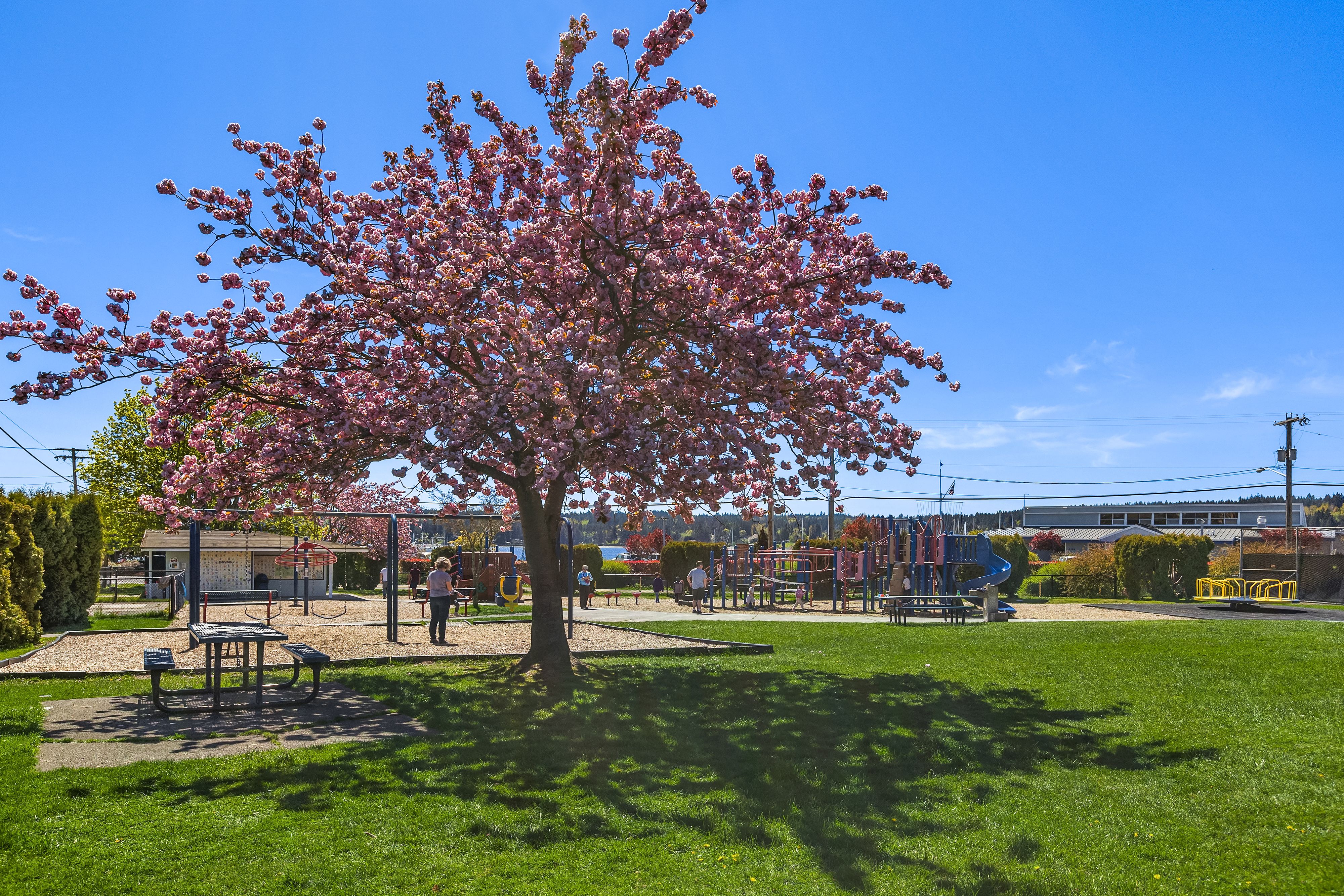  1020 NE Holm Ct, Poulsbo, WA 98370 - 物件實景