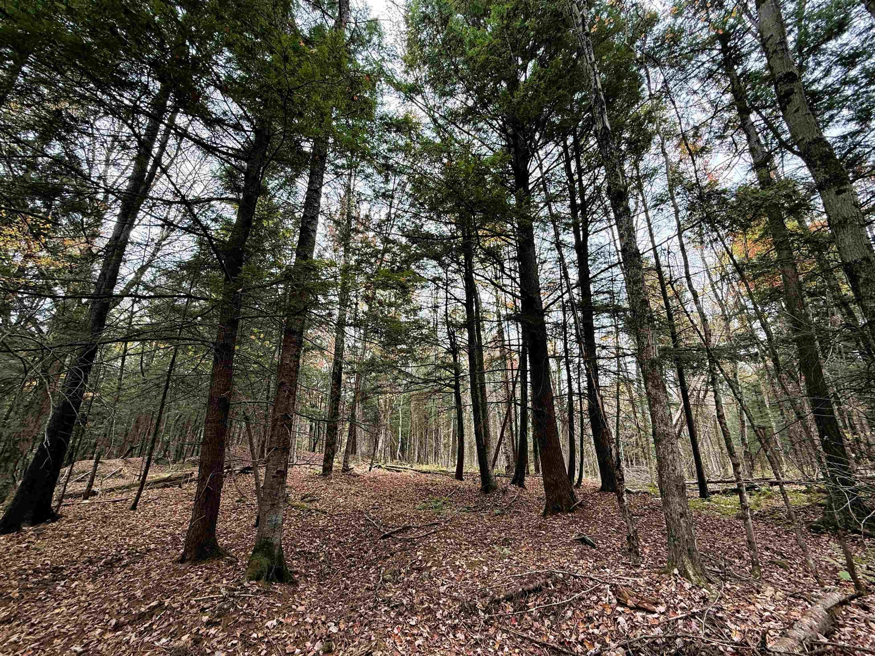 Newport Town, Vermont, 05857, United States, 3 Bedrooms Bedrooms, ,3 BathroomsBathrooms,Residential,For Sale,1980373