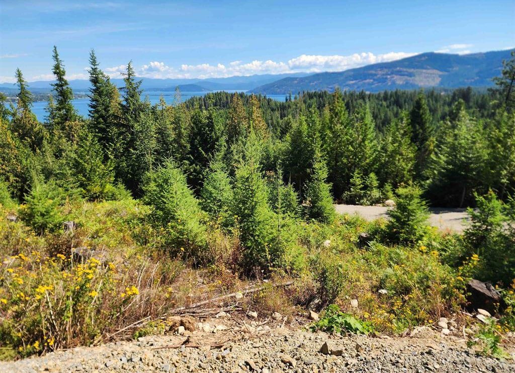 Sagle, Idaho, 83860, United States, ,Land,For Sale,1977293