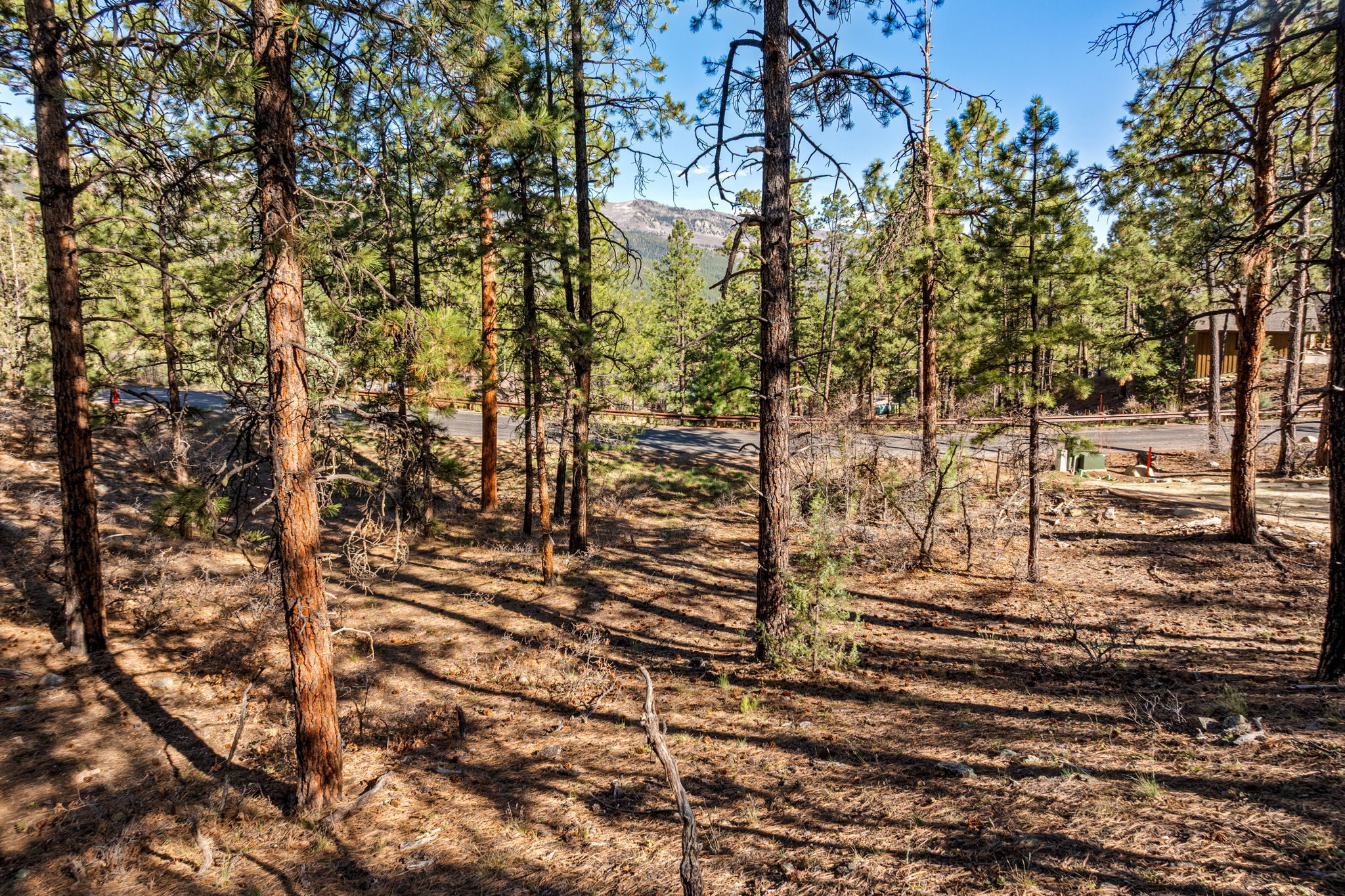  47 Ambush Canyon, Durango, CO 81301 - 物件實景