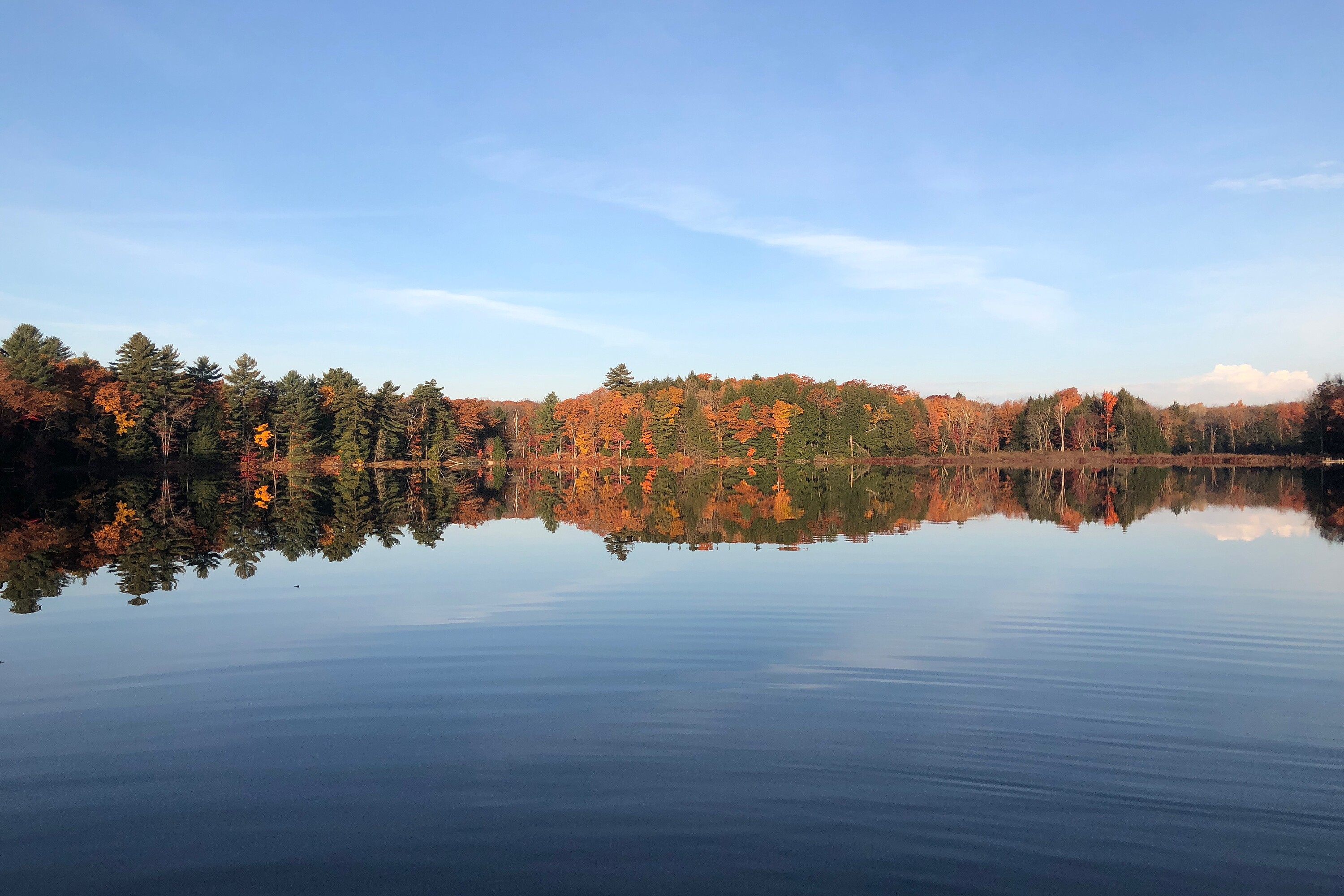  Muskoka Lakes, Muskoka - 物件實景