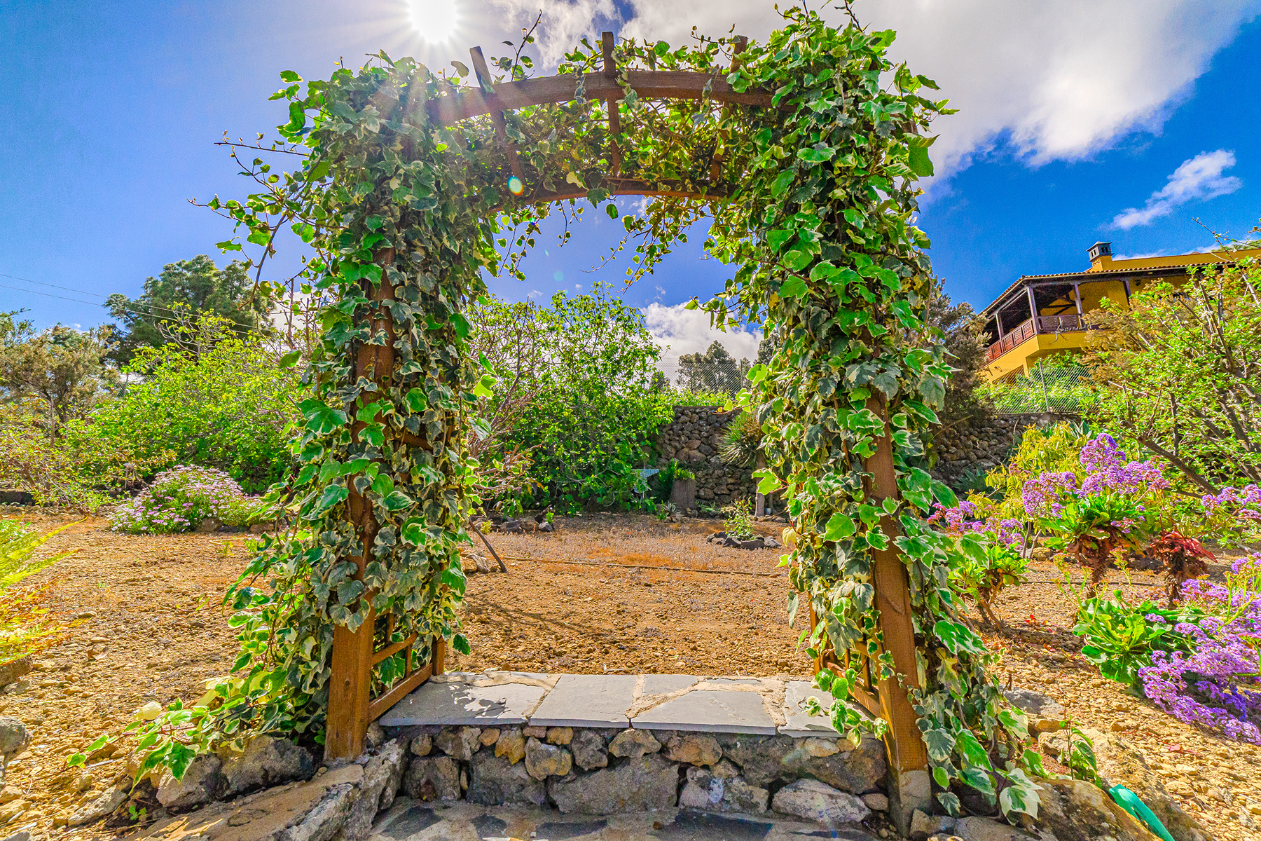  Rustic farmhouse in Icod de los Vinos, Tenerife - 物件實景