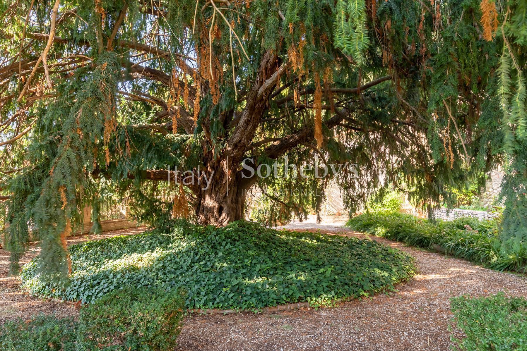  Historic mansion with Secret Garden nestled in a Borgo near Rome - 物件實景