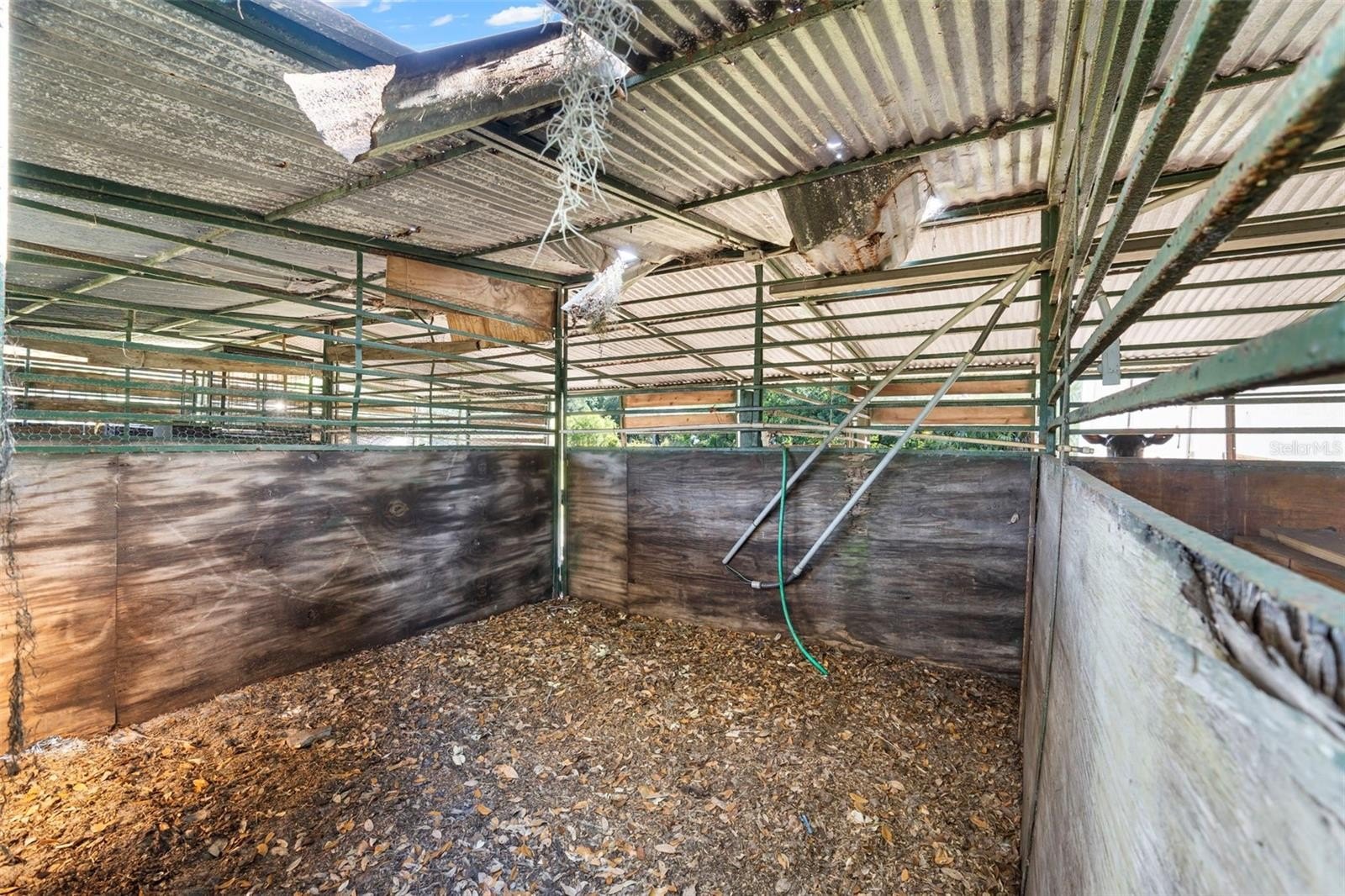 HAINES CITY, Florida, 33844, United States, 4 Bedrooms Bedrooms, ,3 BathroomsBathrooms,Residential,For Sale,1983329