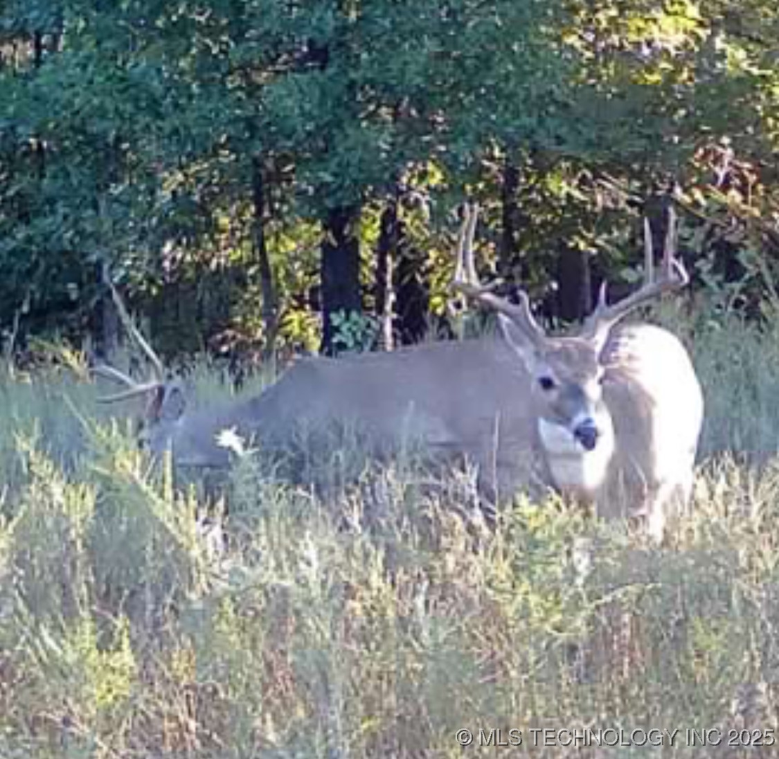 Haskell, Oklahoma, 74436, United States, ,Residential,For Sale,1989173
