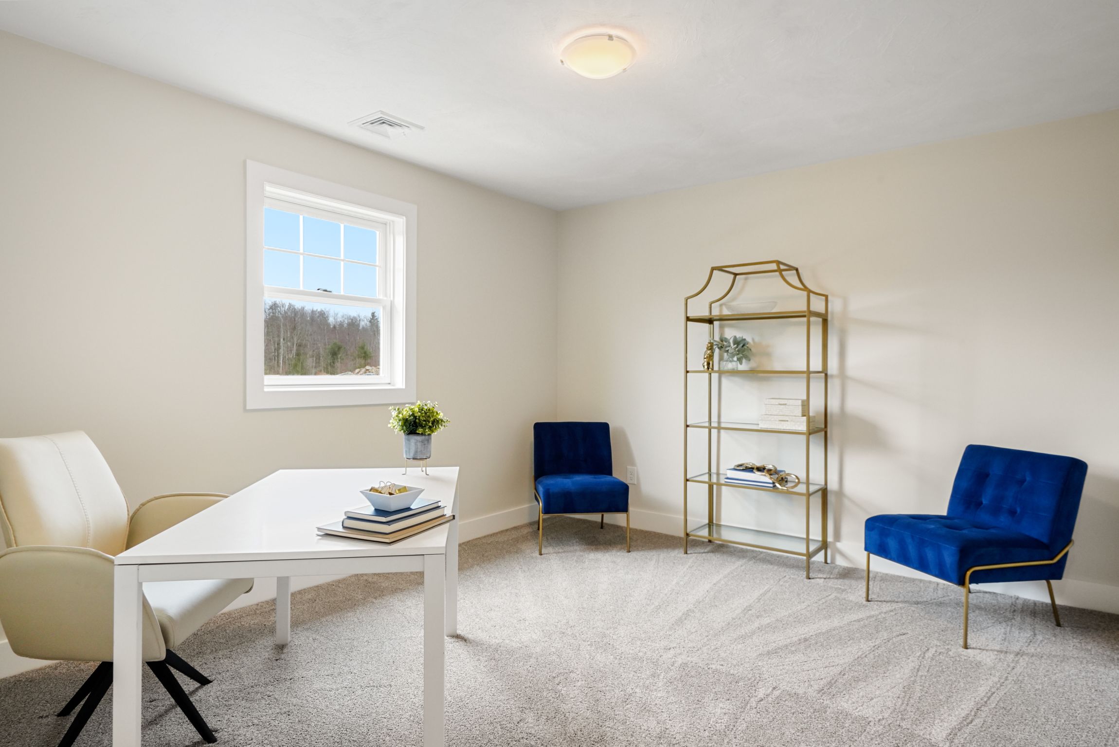  73 Driftwood Circle, Sandown, NH, 03873 - 物件實景
